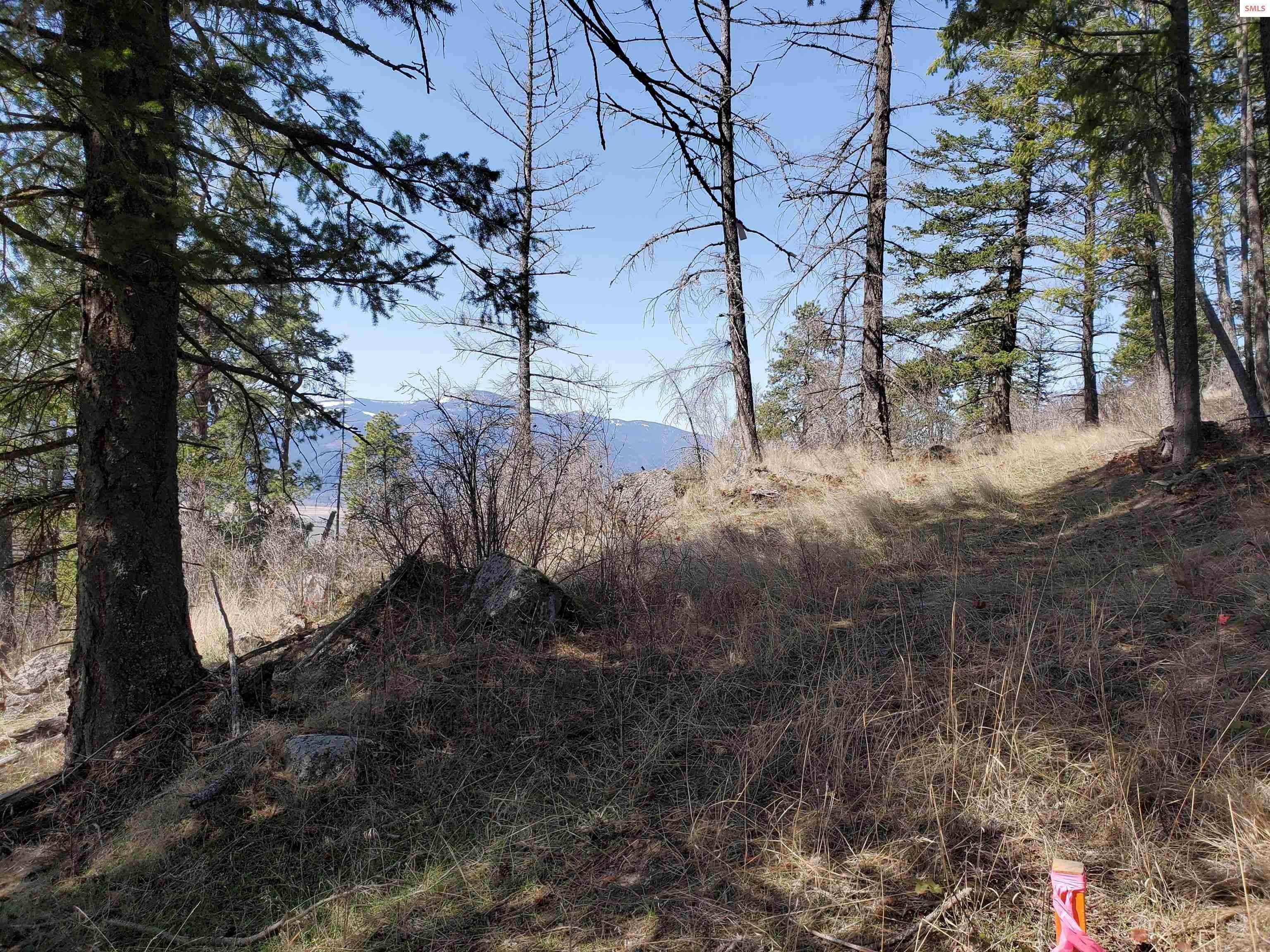 15. Land for Sale at NNA Bootlegger Lane - Stein Mtn Bonners Ferry, Idaho 83805 United States