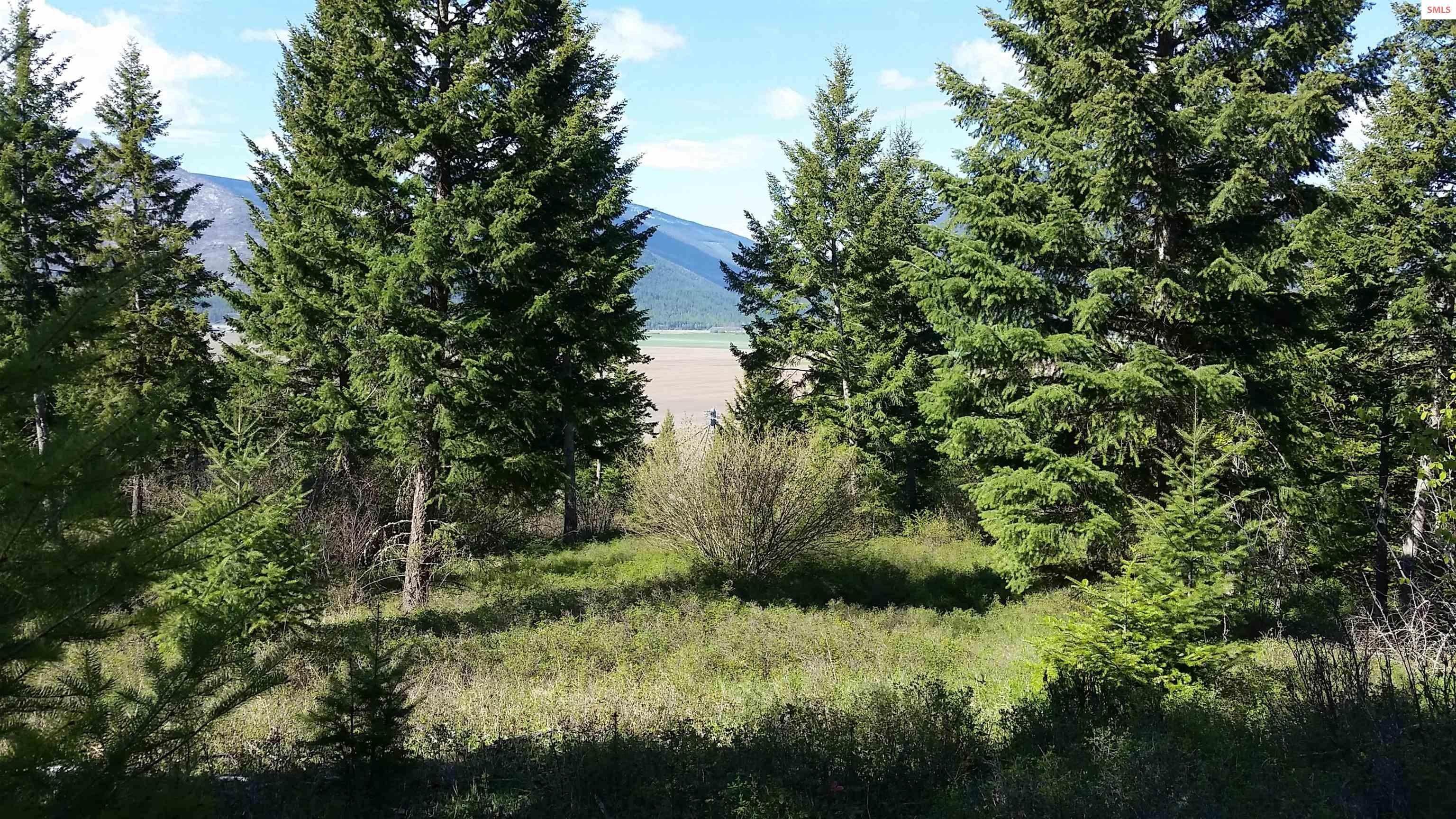 15. Land for Sale at NNA Smugglers Lane - Tract 5 Bonners Ferry, Idaho 83805 United States