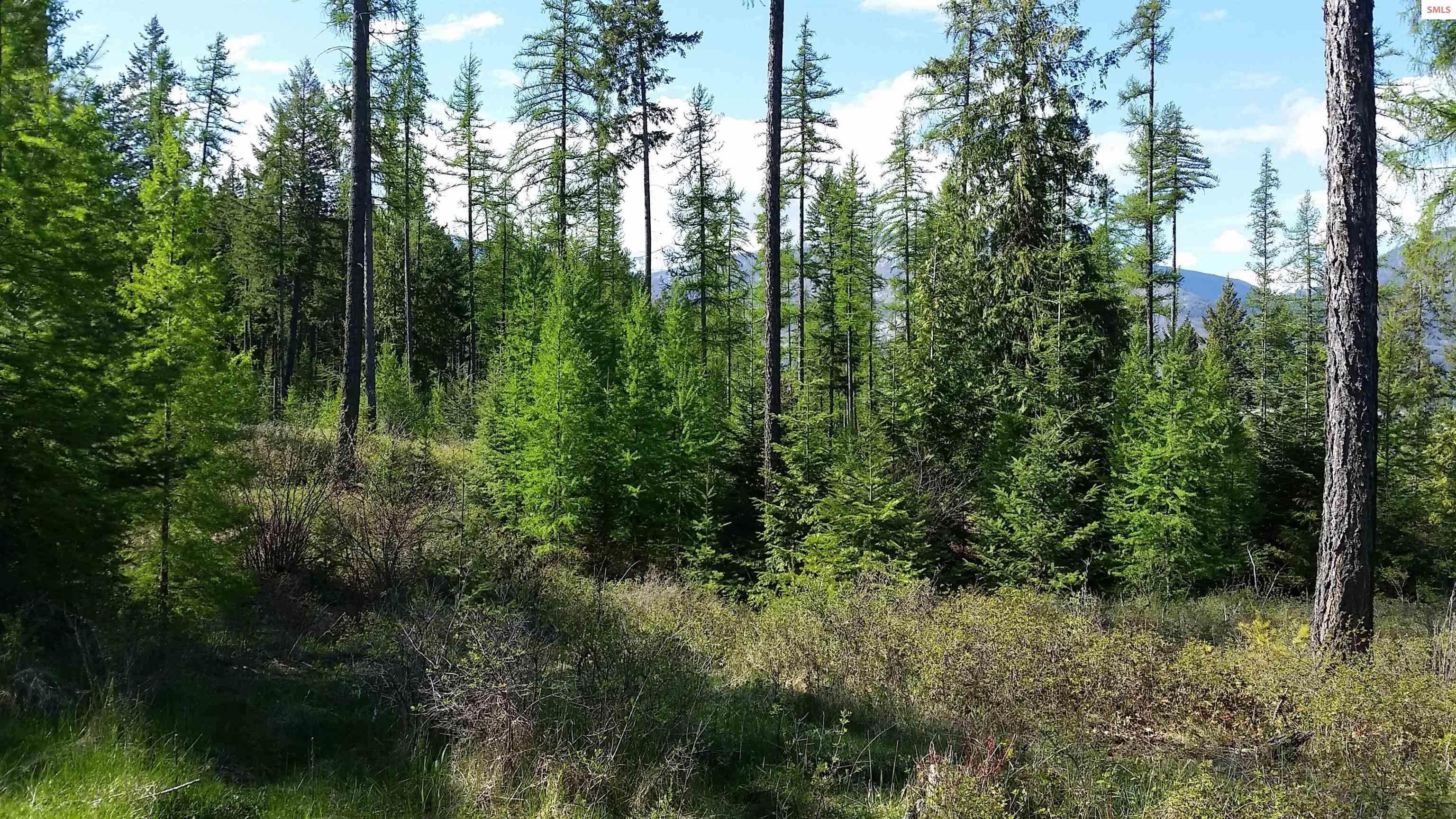 10. Land for Sale at NNA Smugglers Lane - Tract 5 Bonners Ferry, Idaho 83805 United States