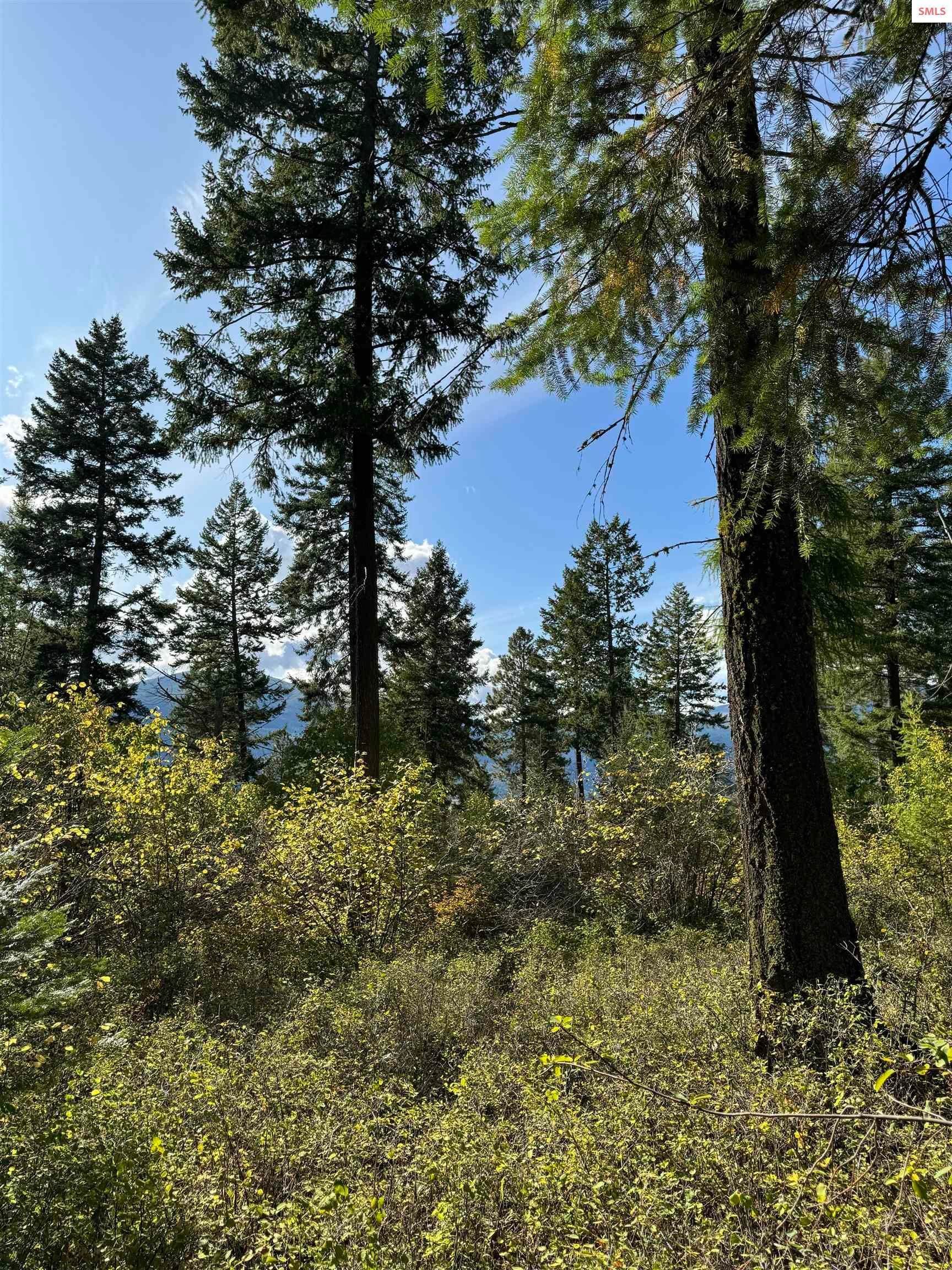 13. Land for Sale at NNA Continental Lane - Tract 1 Bonners Ferry, Idaho 83805 United States