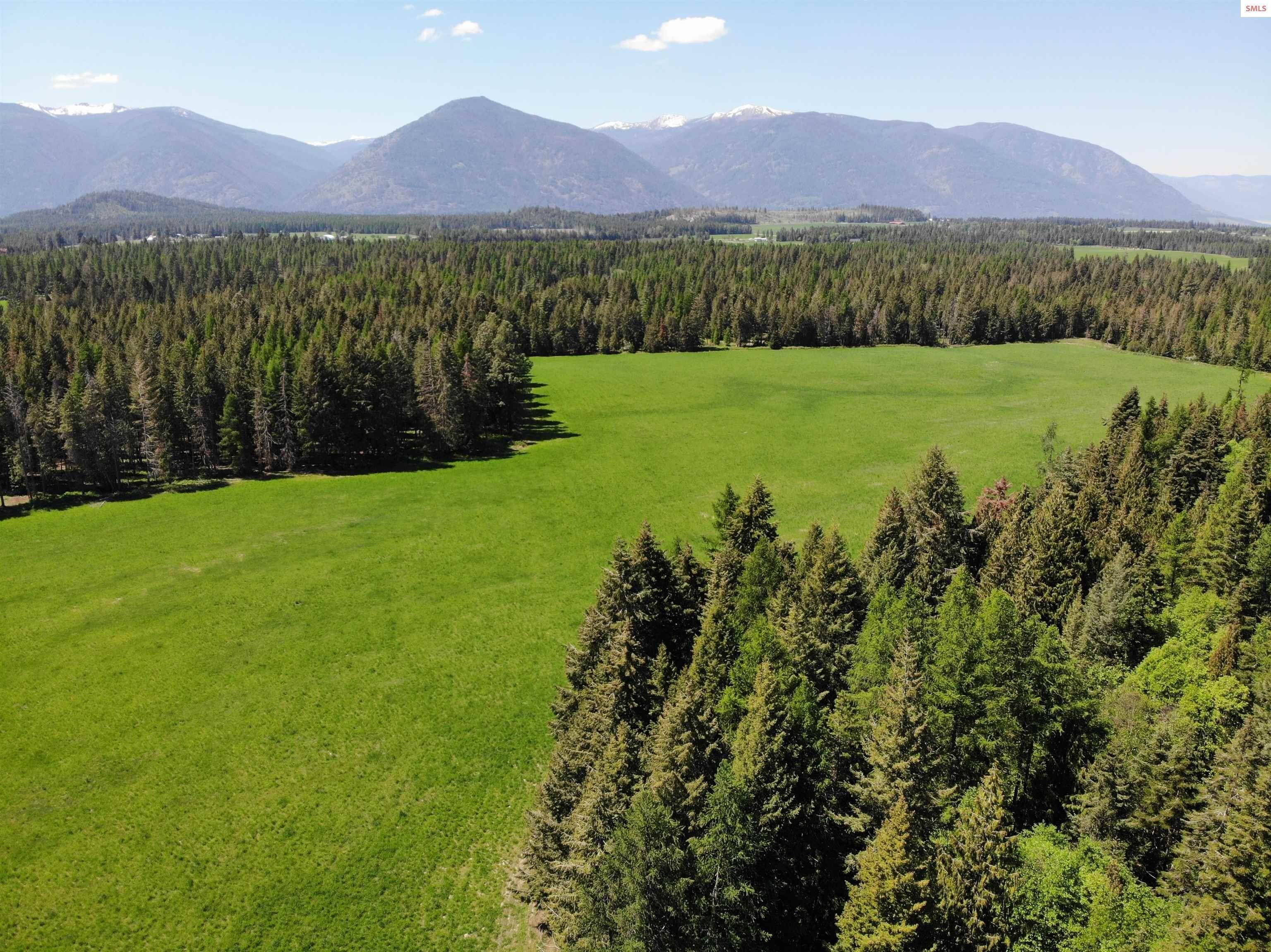 5. Land for Sale at 202 Sapphire Drive Bonners Ferry, Idaho 83805 United States