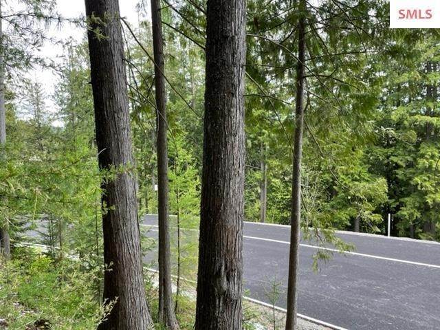 2. Land for Sale at 4114 Burns Court Sandpoint, Idaho 83864 United States