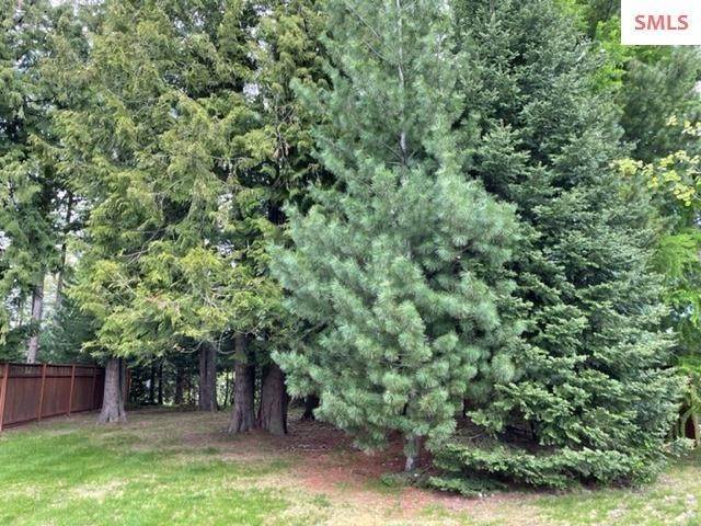 5. Land for Sale at 4114 Burns Court Sandpoint, Idaho 83864 United States