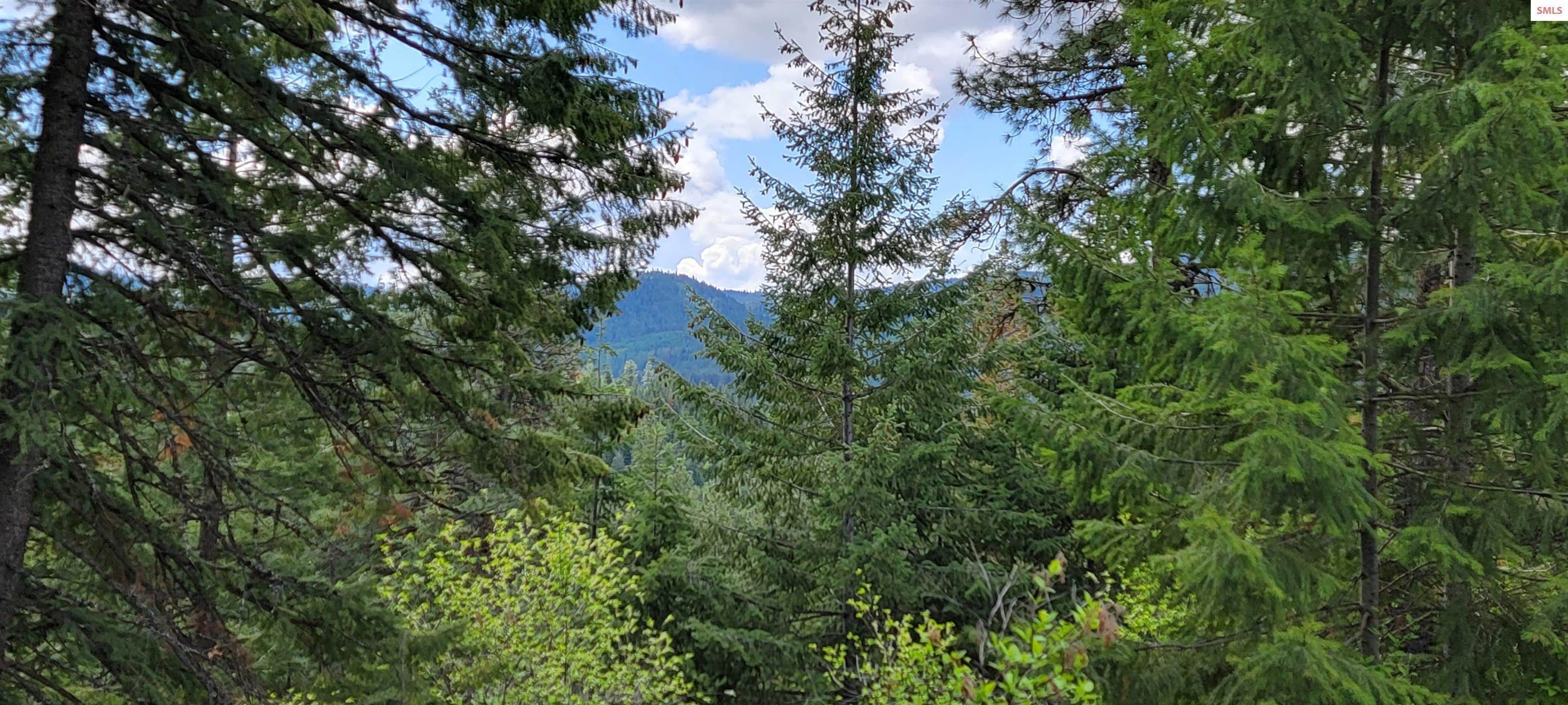 19. Land for Sale at NNA Bobsled Trail Coeur d’Alene, Idaho 83814 United States