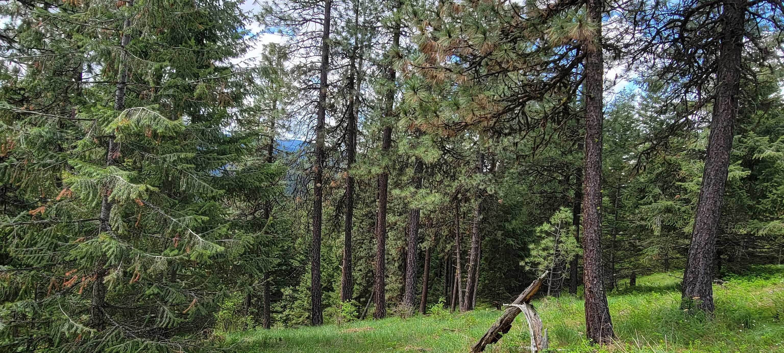 22. Land for Sale at NNA Bobsled Trail Coeur d’Alene, Idaho 83814 United States