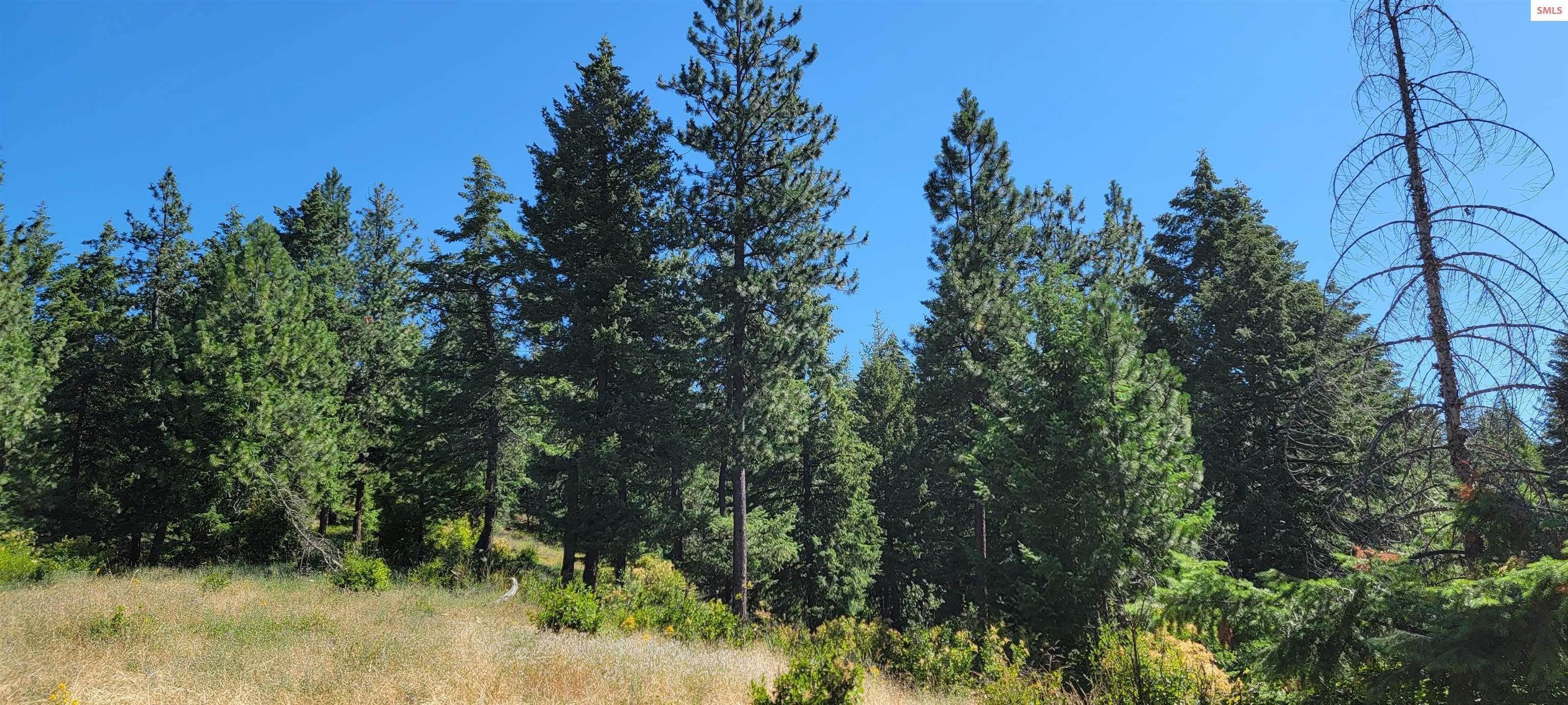 24. Land for Sale at NNA Bobsled Trail Coeur d’Alene, Idaho 83814 United States