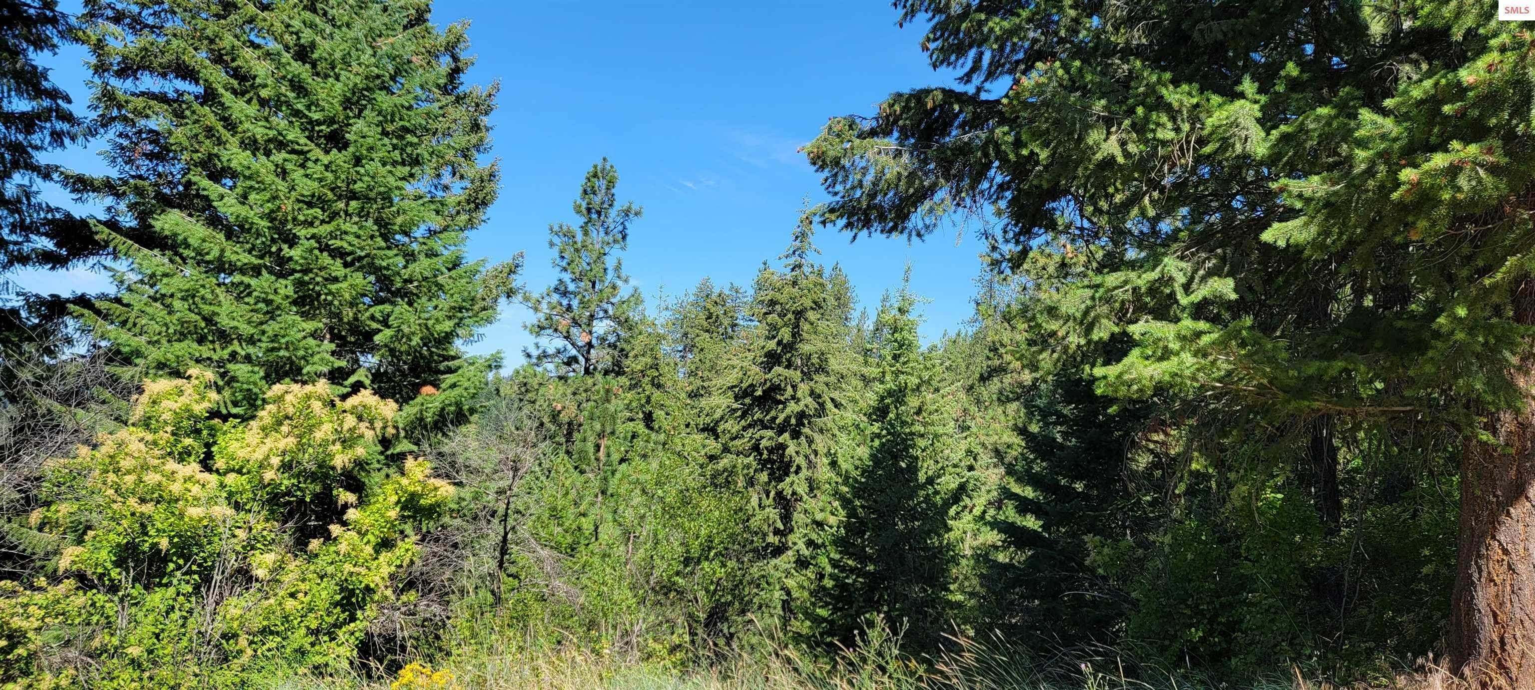 26. Land for Sale at NNA Bobsled Trail Coeur d’Alene, Idaho 83814 United States