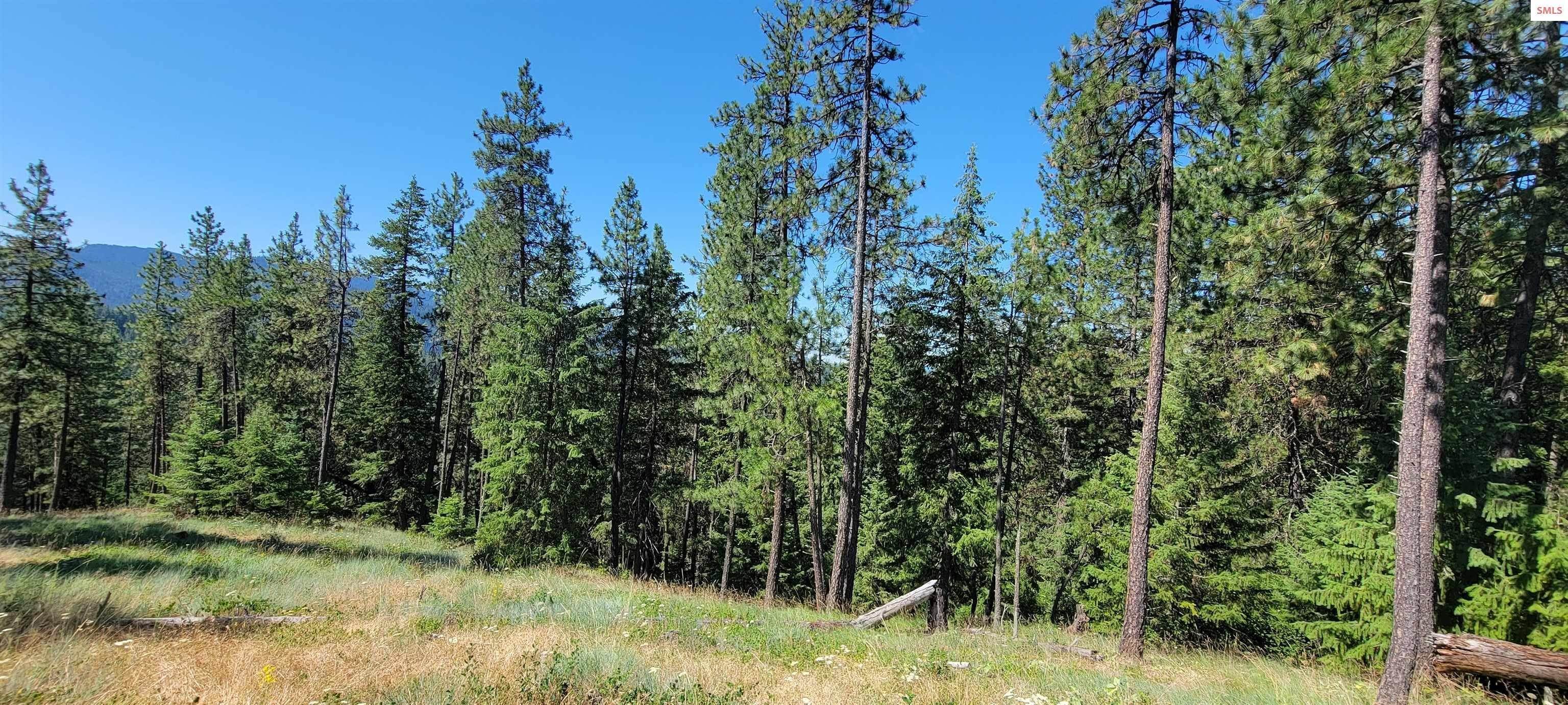 28. Land for Sale at NNA Bobsled Trail Coeur d’Alene, Idaho 83814 United States
