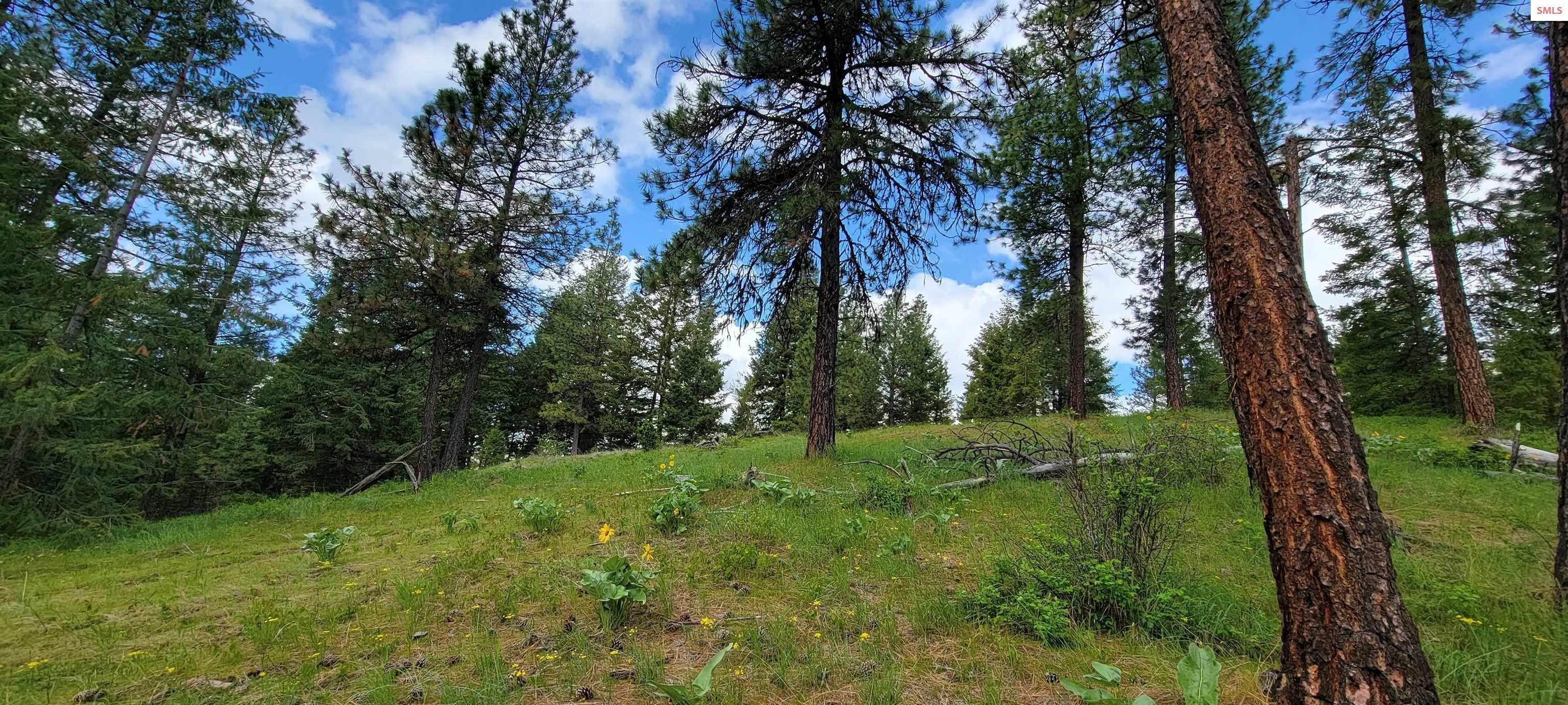 4. Land for Sale at NNA Bobsled Trail Coeur d’Alene, Idaho 83814 United States