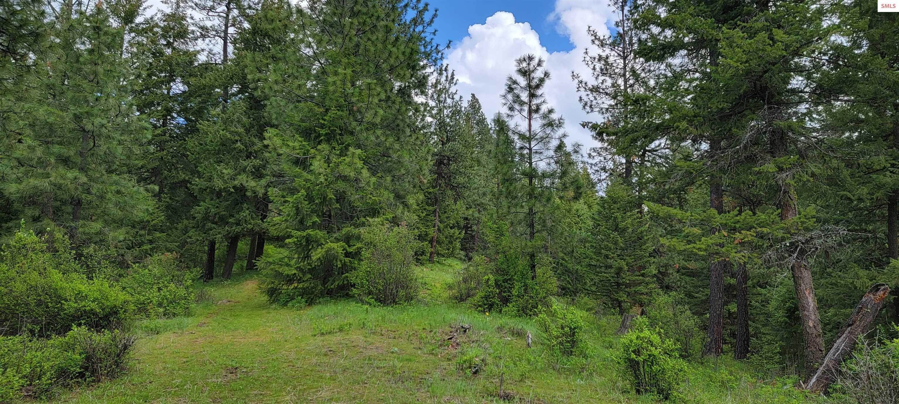 10. Land for Sale at NNA Bobsled Trail Coeur d’Alene, Idaho 83814 United States