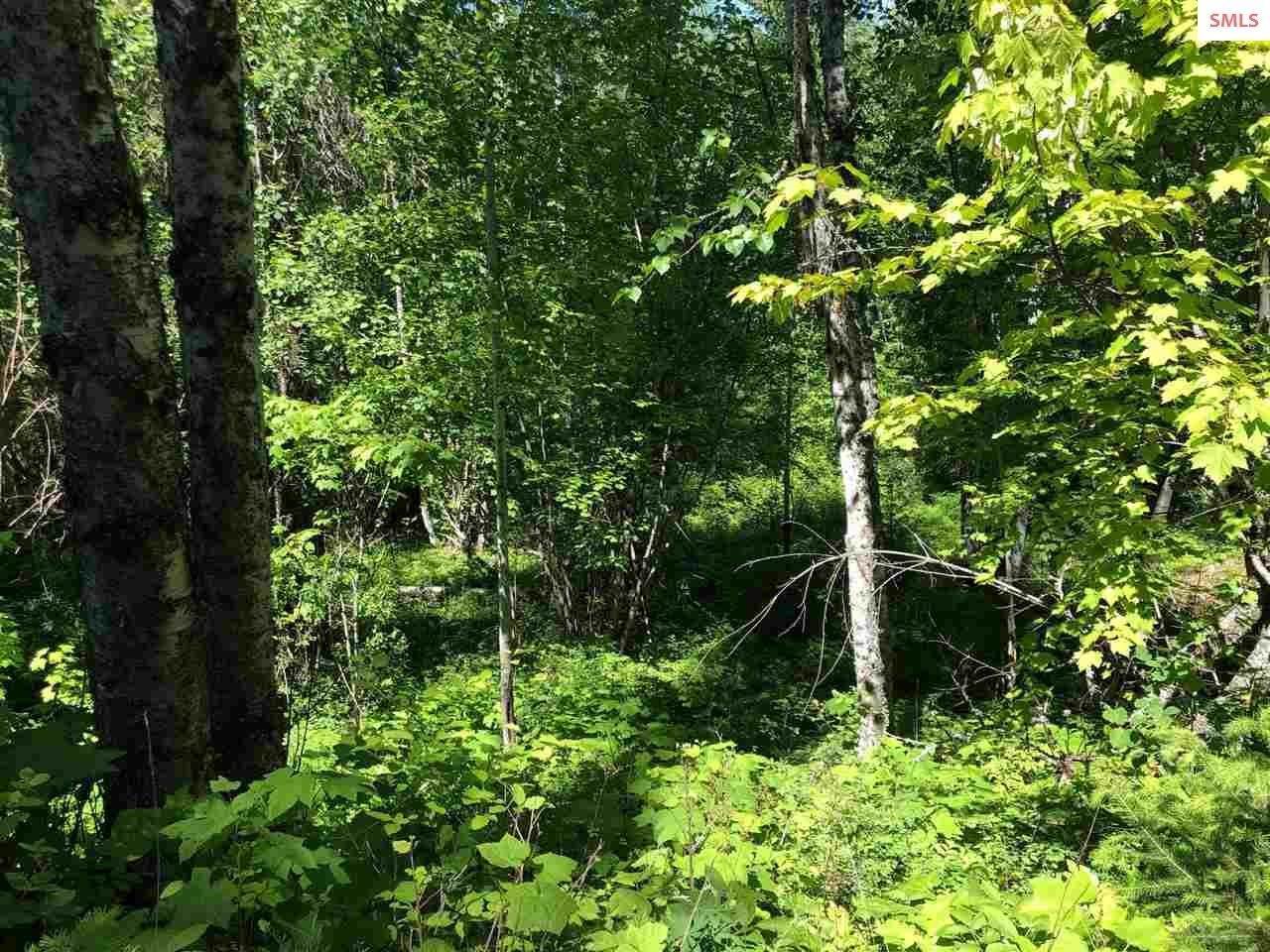 4. Land for Sale at 20 acres Highlands Road Sandpoint, Idaho 83864 United States