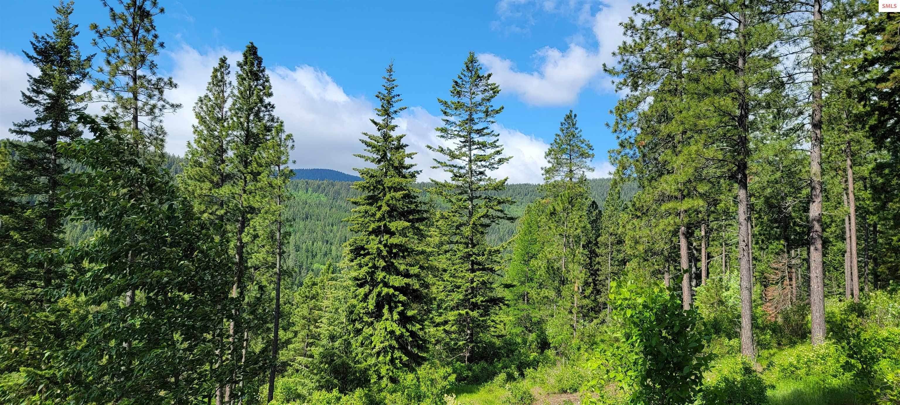 1. Land for Sale at NNA Snowcat Lane Tract 4 Bonners Ferry, Idaho 83805 United States