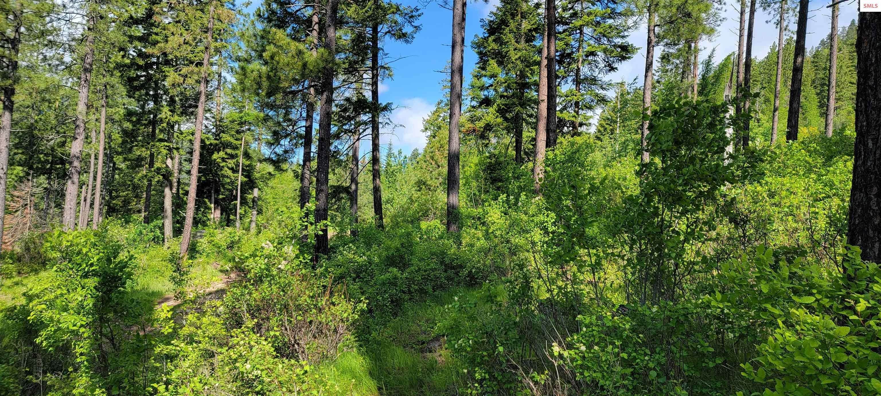 14. Land for Sale at NNA Snowcat Lane Tract 4 Bonners Ferry, Idaho 83805 United States