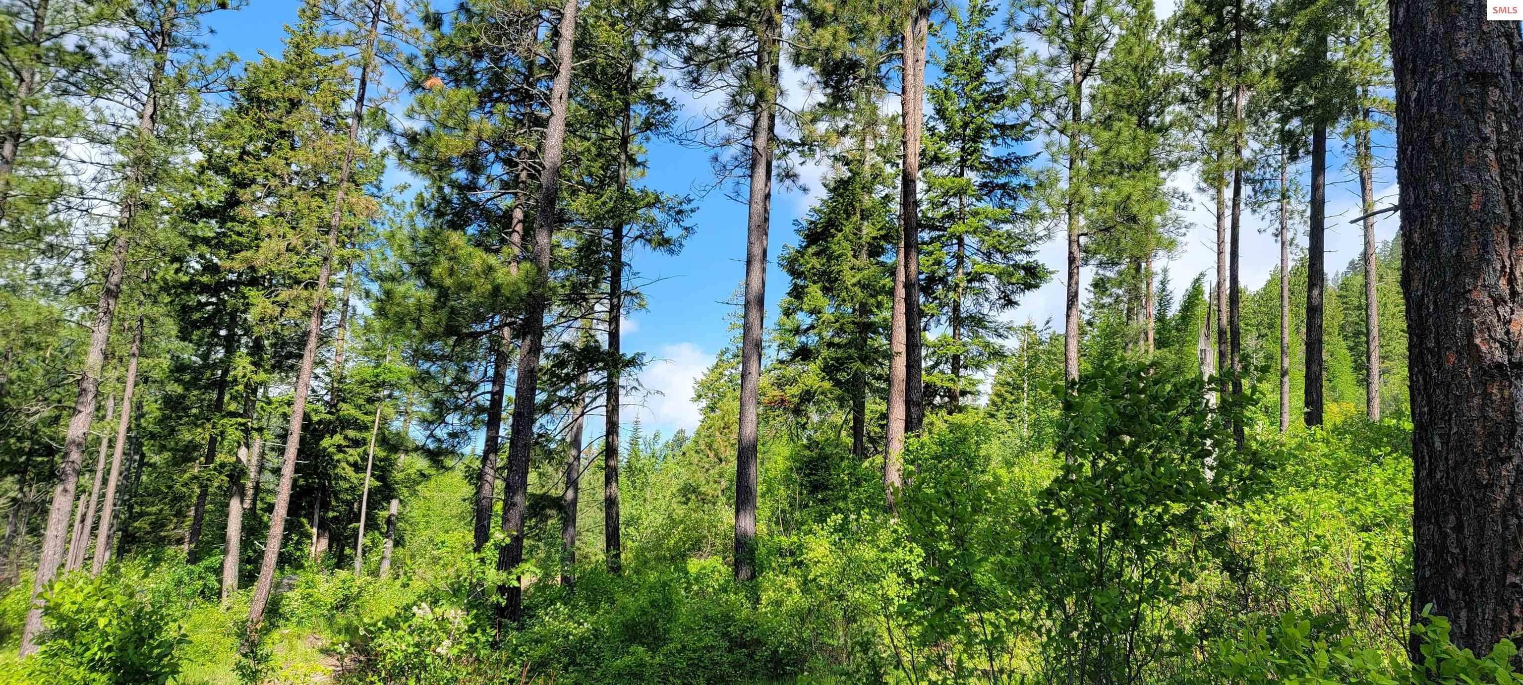 15. Land for Sale at NNA Snowcat Lane Tract 4 Bonners Ferry, Idaho 83805 United States