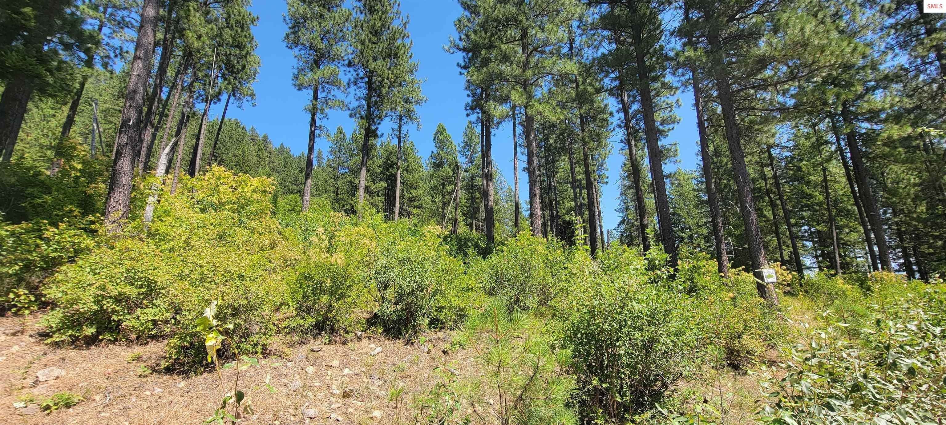 19. Land for Sale at NNA Snowcat Lane Tract 4 Bonners Ferry, Idaho 83805 United States