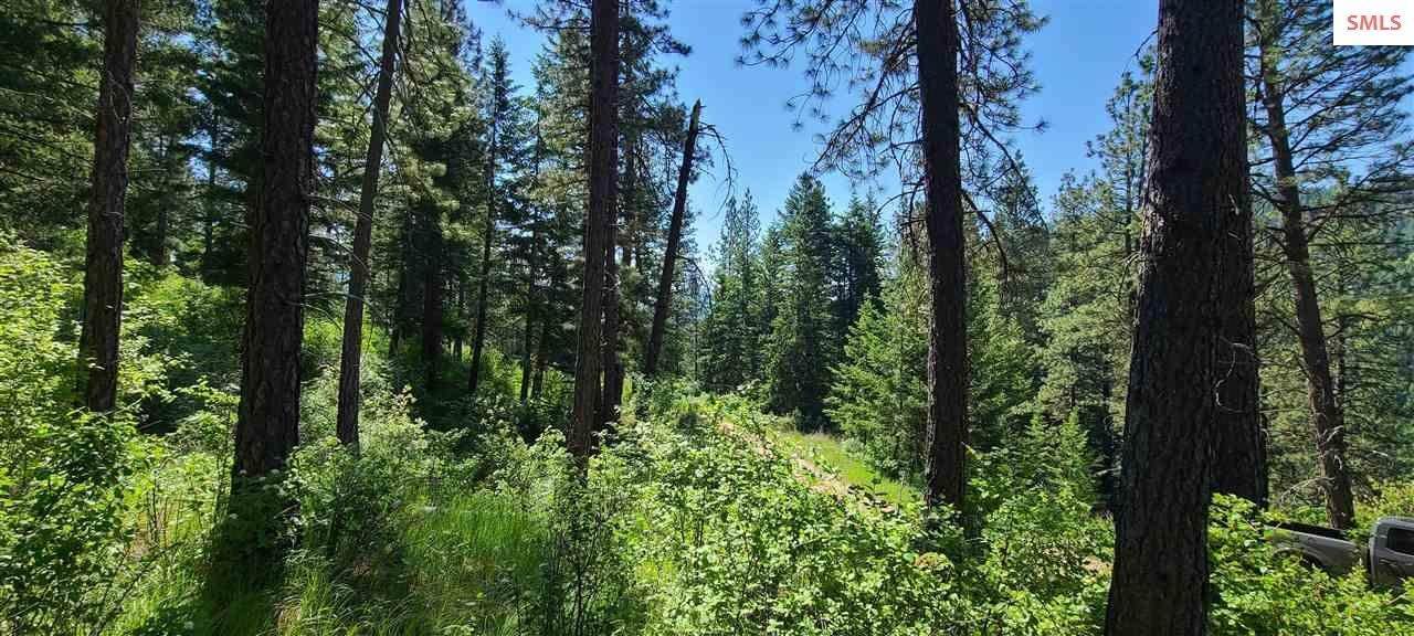9. Land for Sale at NNA Snowcat Lane Tract 4 Bonners Ferry, Idaho 83805 United States