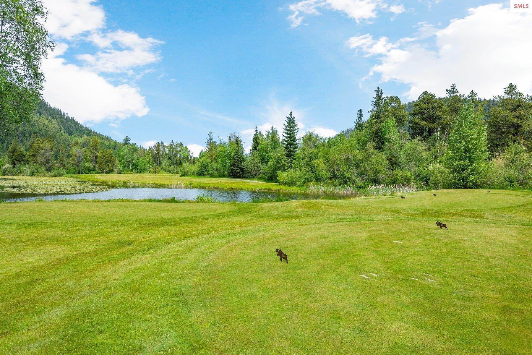36. Land for Sale at 101 Green Monarch Lane Sandpoint, Idaho 83864 United States