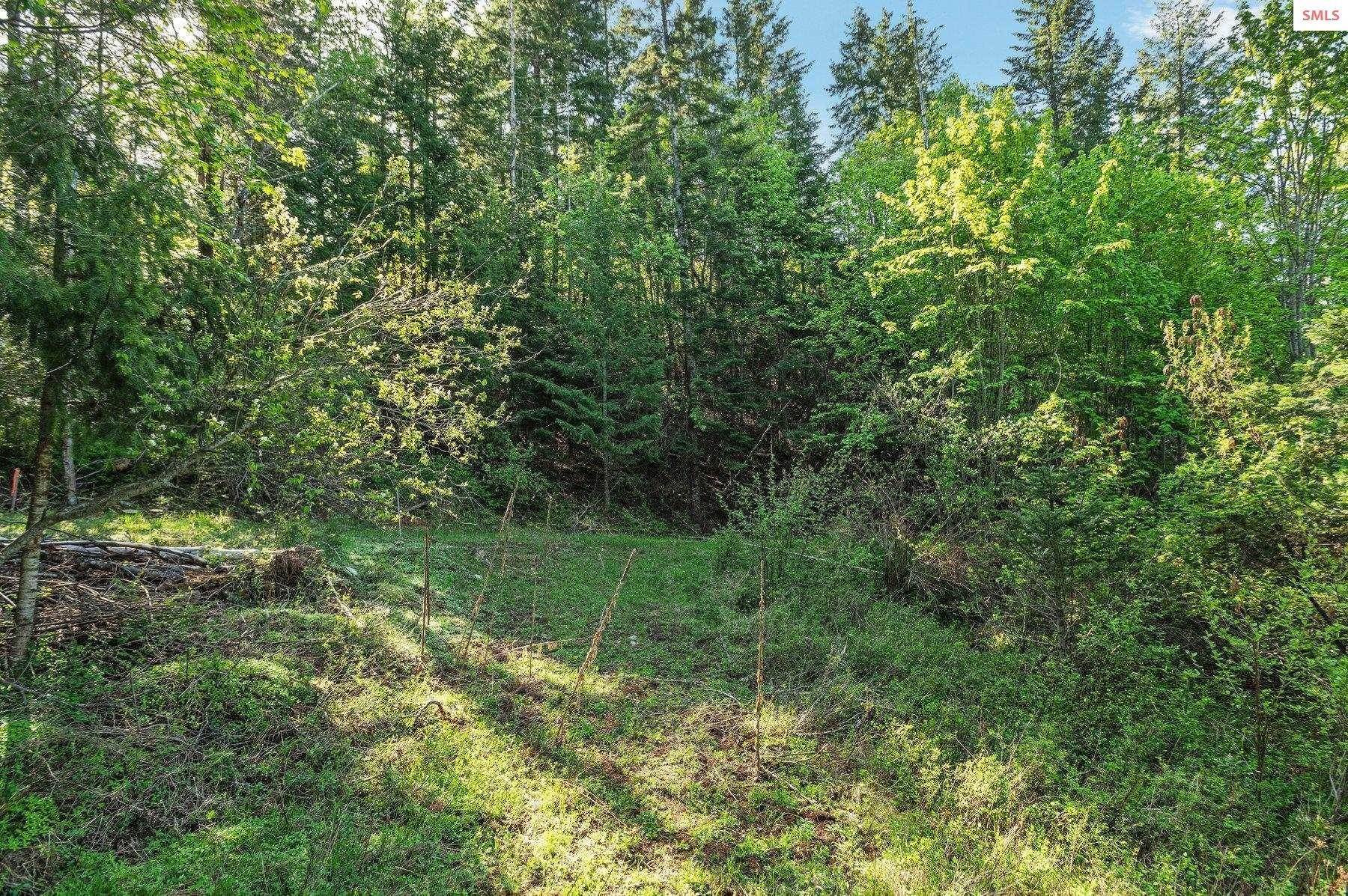 7. Land for Sale at NNA E30 Green Monarch Way Sandpoint, Idaho 83864 United States