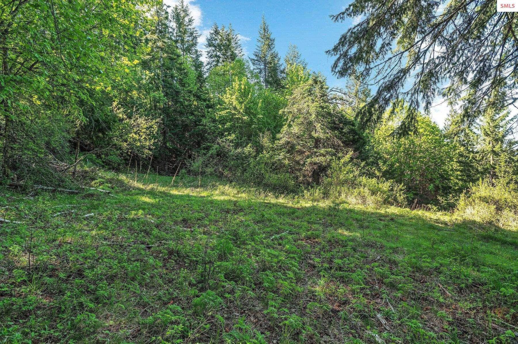 9. Land for Sale at NNA E30 Green Monarch Way Sandpoint, Idaho 83864 United States