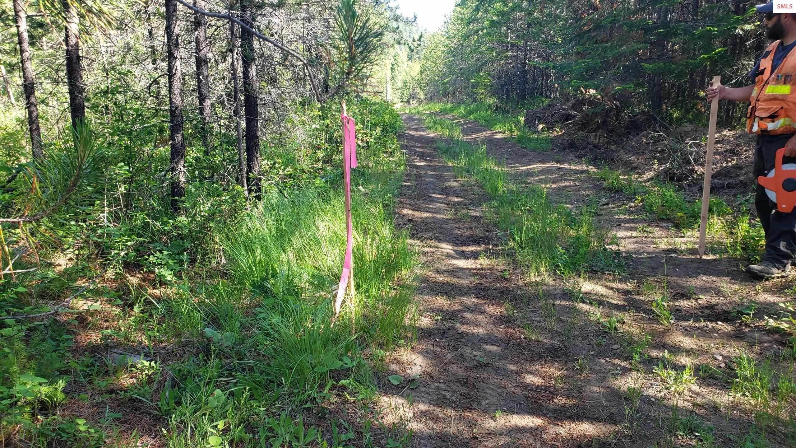 7. Land for Sale at NNA N Bodie Canyon Road, Tract 1 Priest River, Idaho 83856 United States