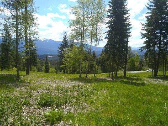 1. Land for Sale at Lot 22 & Lot 23 Pintail Bonners Ferry, Idaho 83805 United States