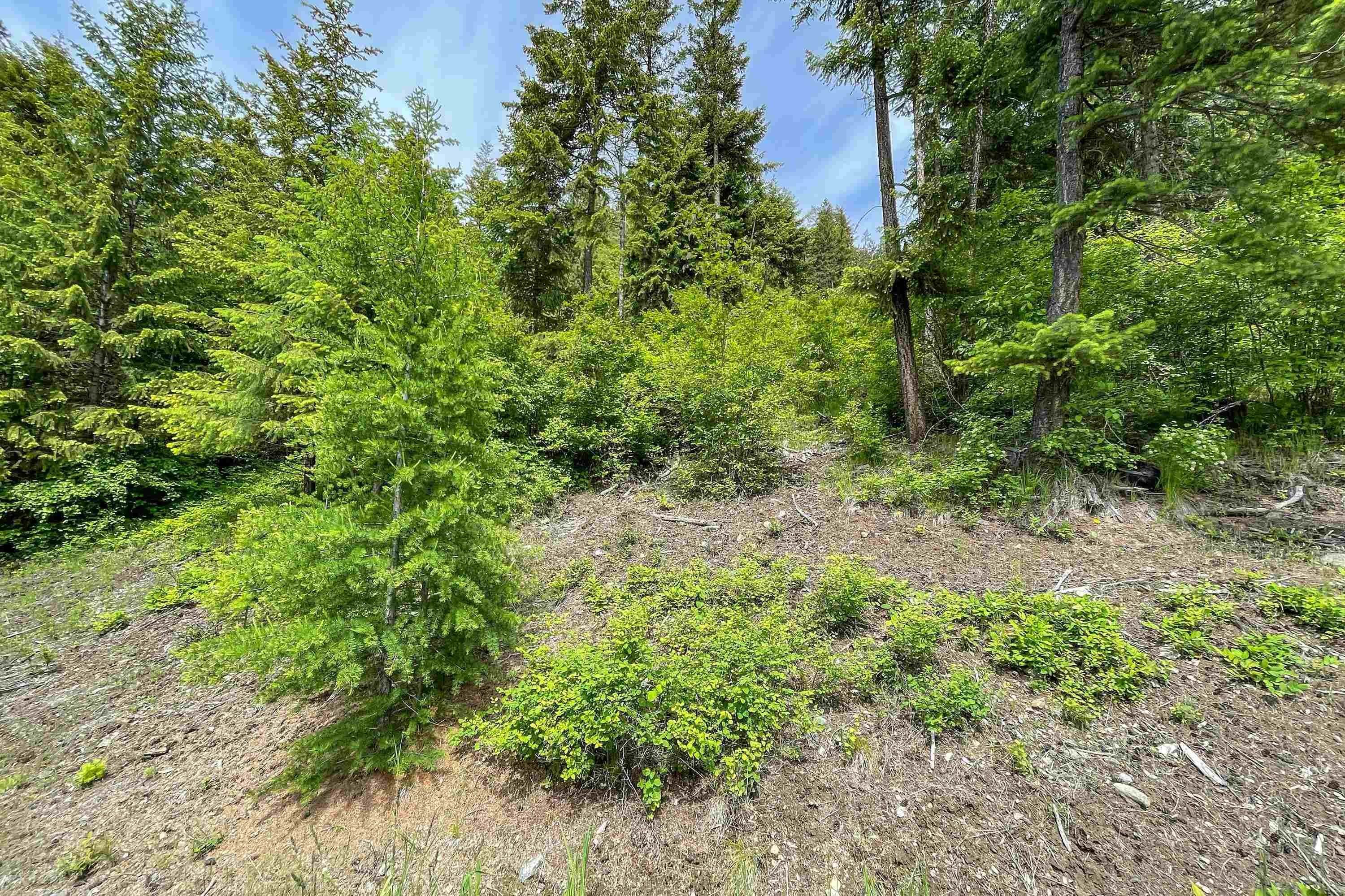 10. Land for Sale at Lot 22 & Lot 23 Pintail Bonners Ferry, Idaho 83805 United States
