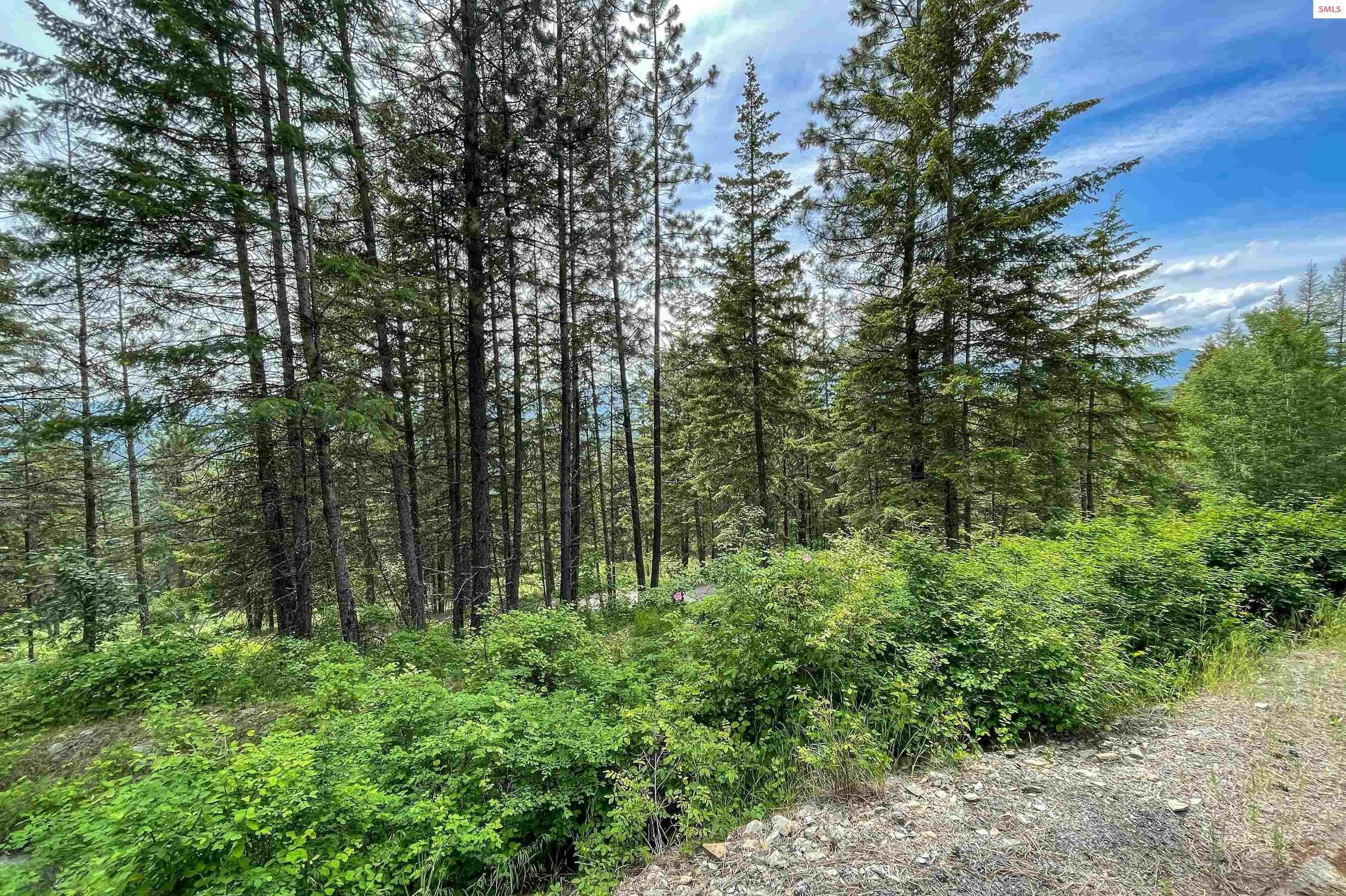 27. Land for Sale at Lot 22 & Lot 23 Pintail Bonners Ferry, Idaho 83805 United States