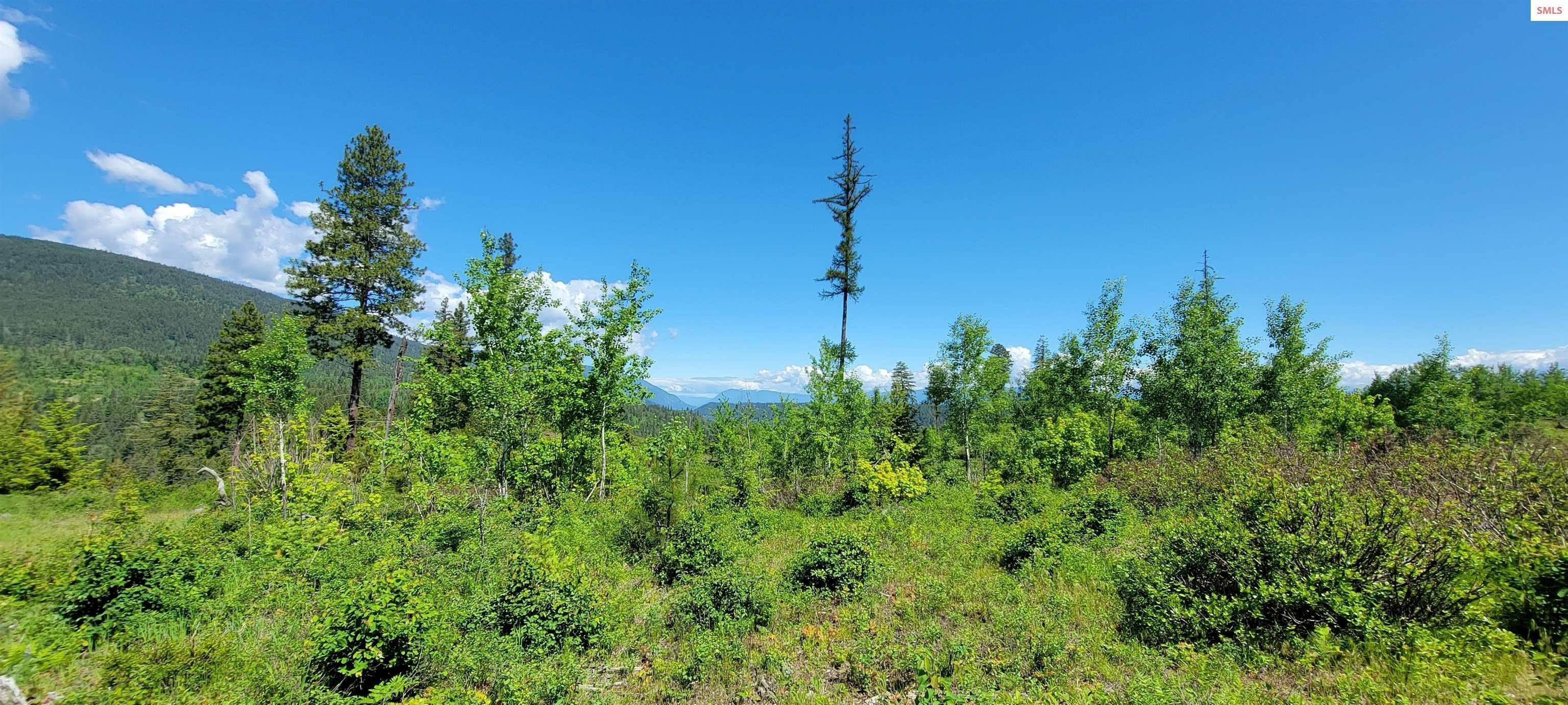 20. Land for Sale at NNA Falcon Ridge Dr - Tract 6 Bonners Ferry, Idaho 83805 United States