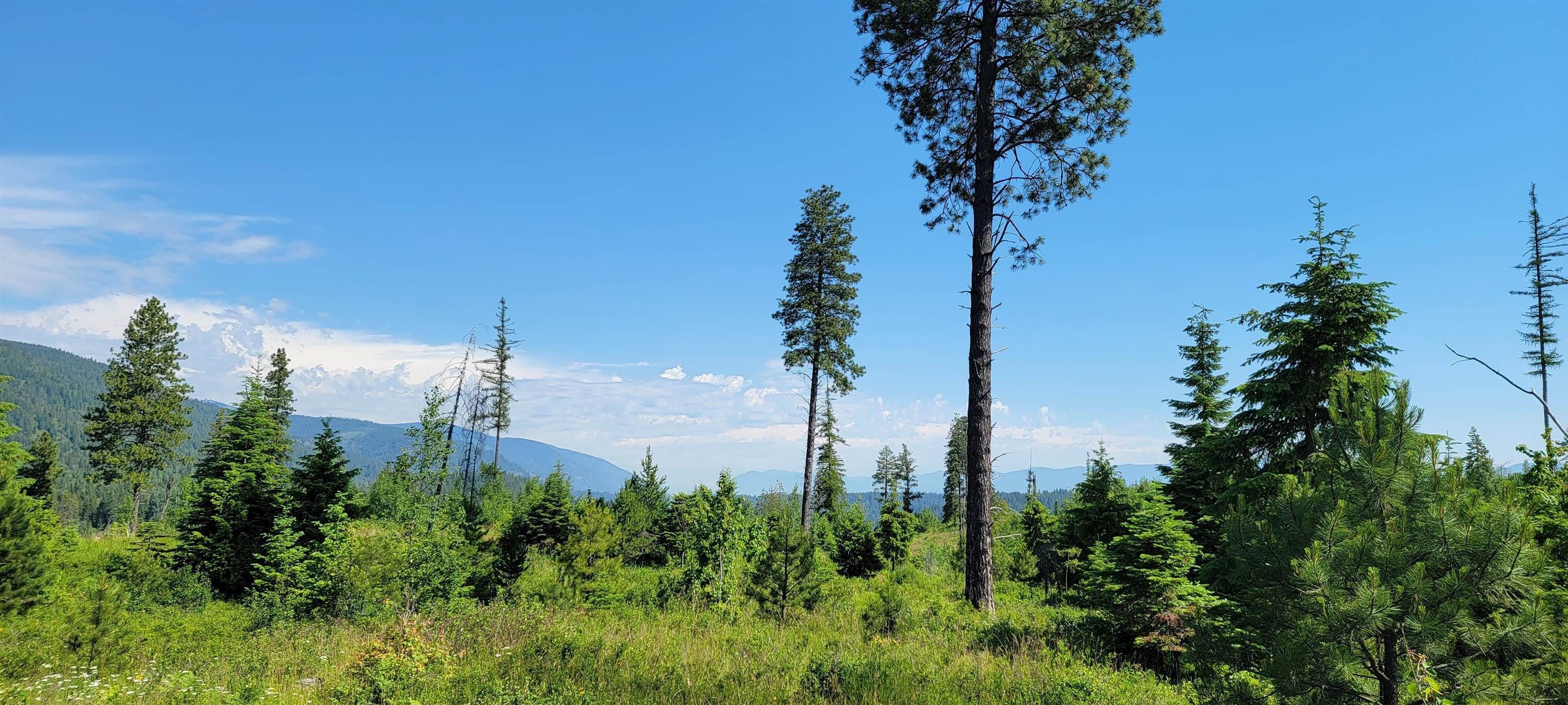 7. Land for Sale at NNA Falcon Ridge Dr - Tract 6 Bonners Ferry, Idaho 83805 United States