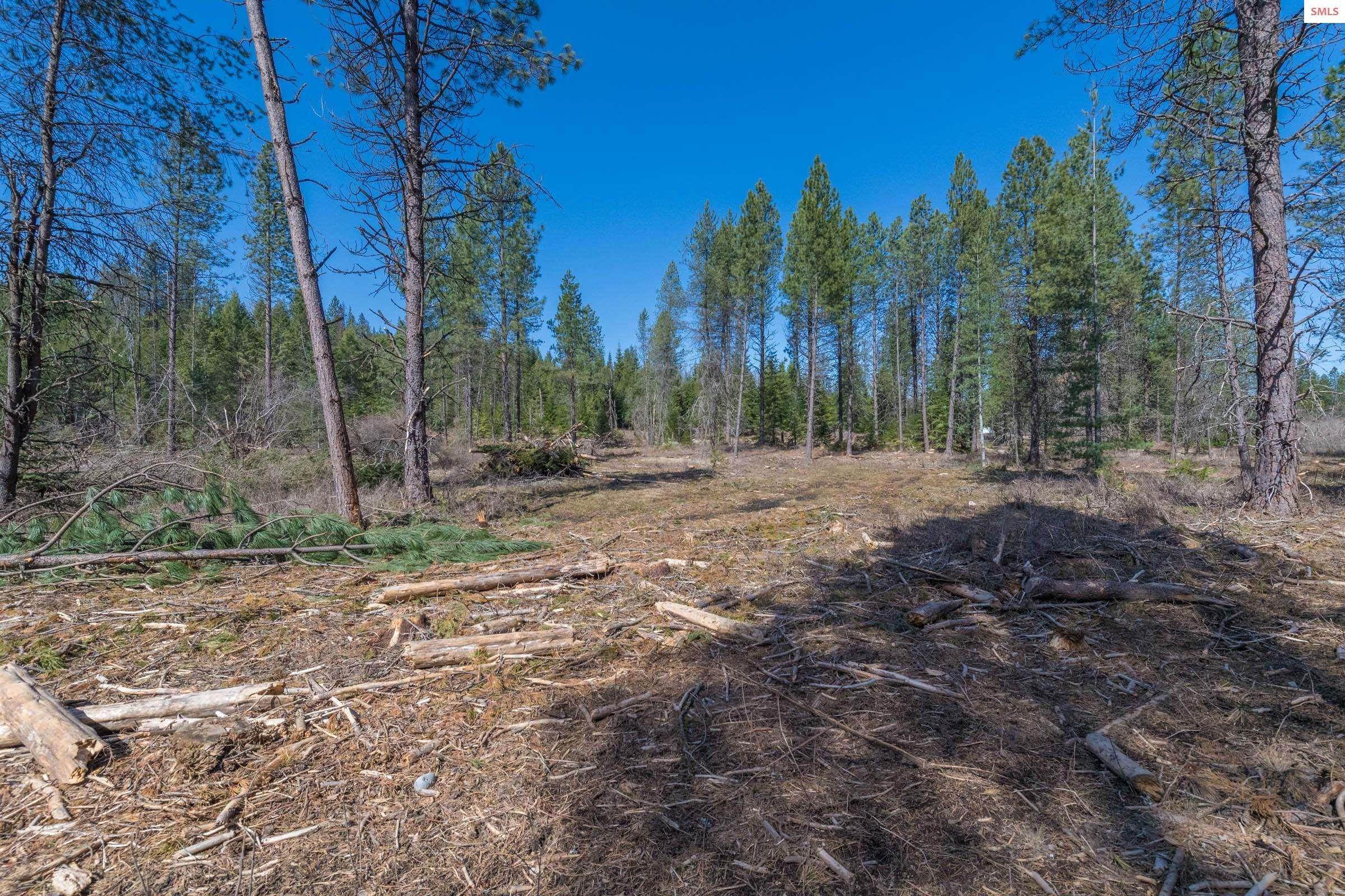14. Land for Sale at NNA Amethyst Lane Lot 3 Cocolalla, Idaho 83813 United States