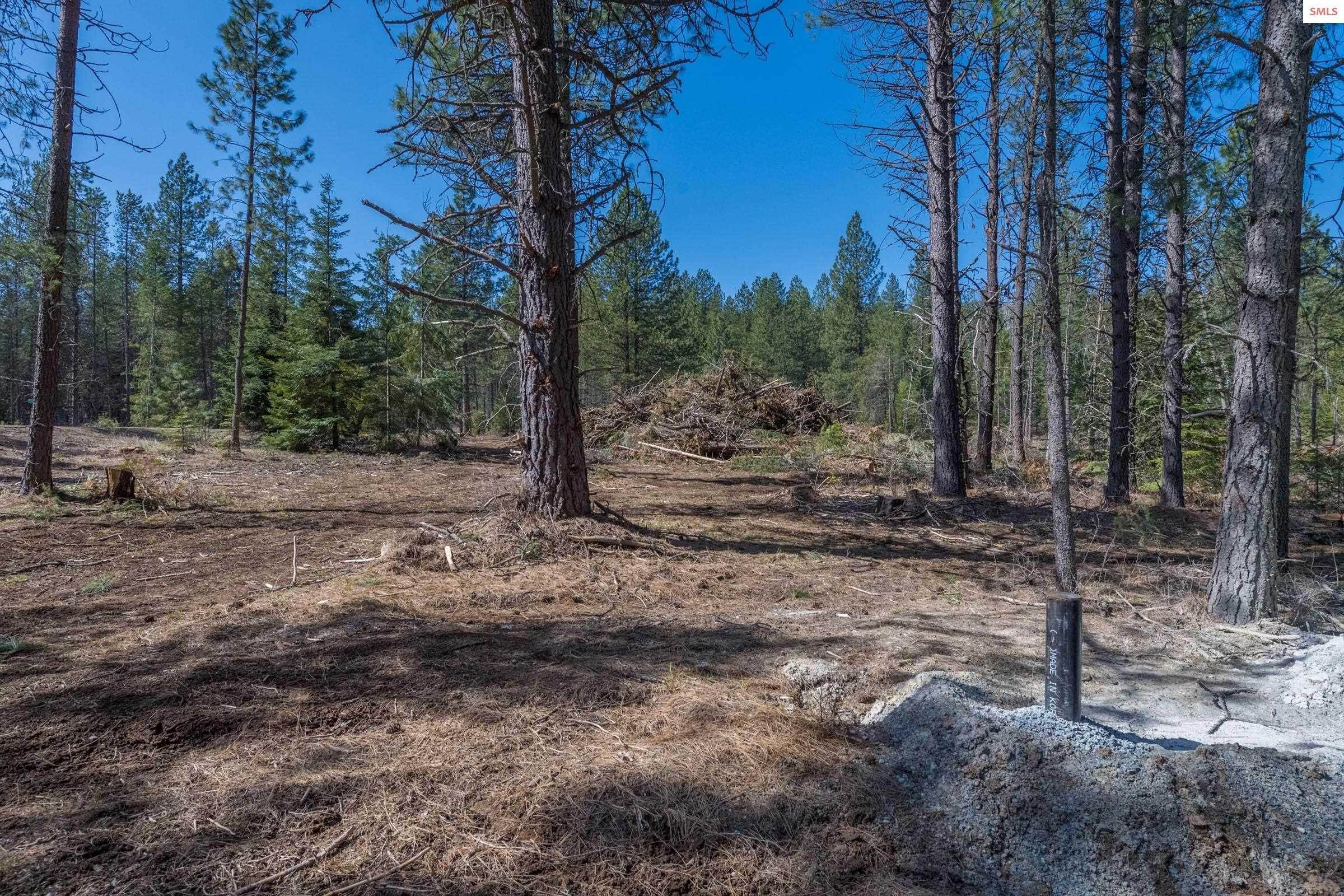 15. Land for Sale at NNA Amethyst Lane Lot 3 Cocolalla, Idaho 83813 United States