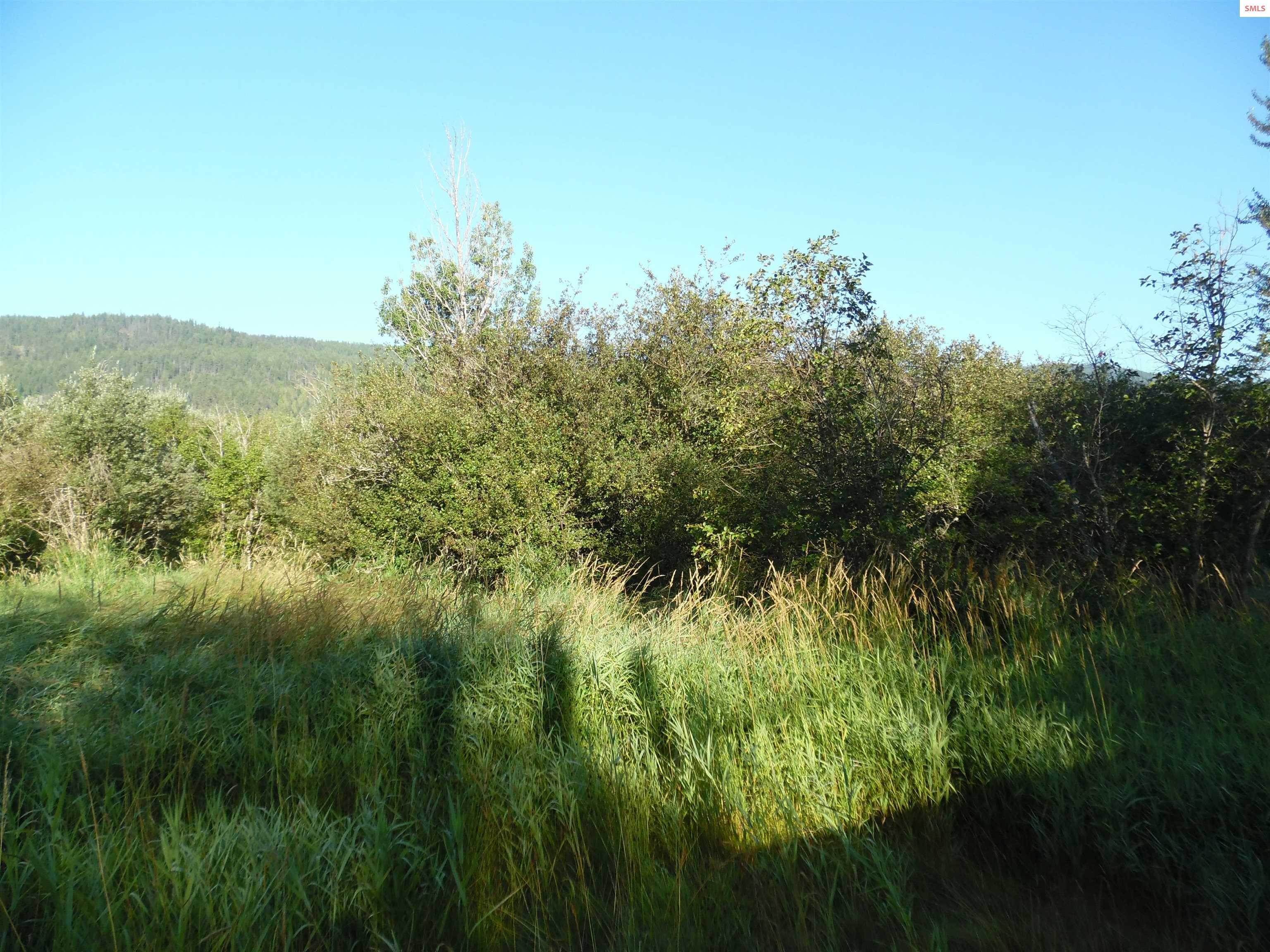 13. Land for Sale at NNA Selle Road Sandpoint, Idaho 83864 United States