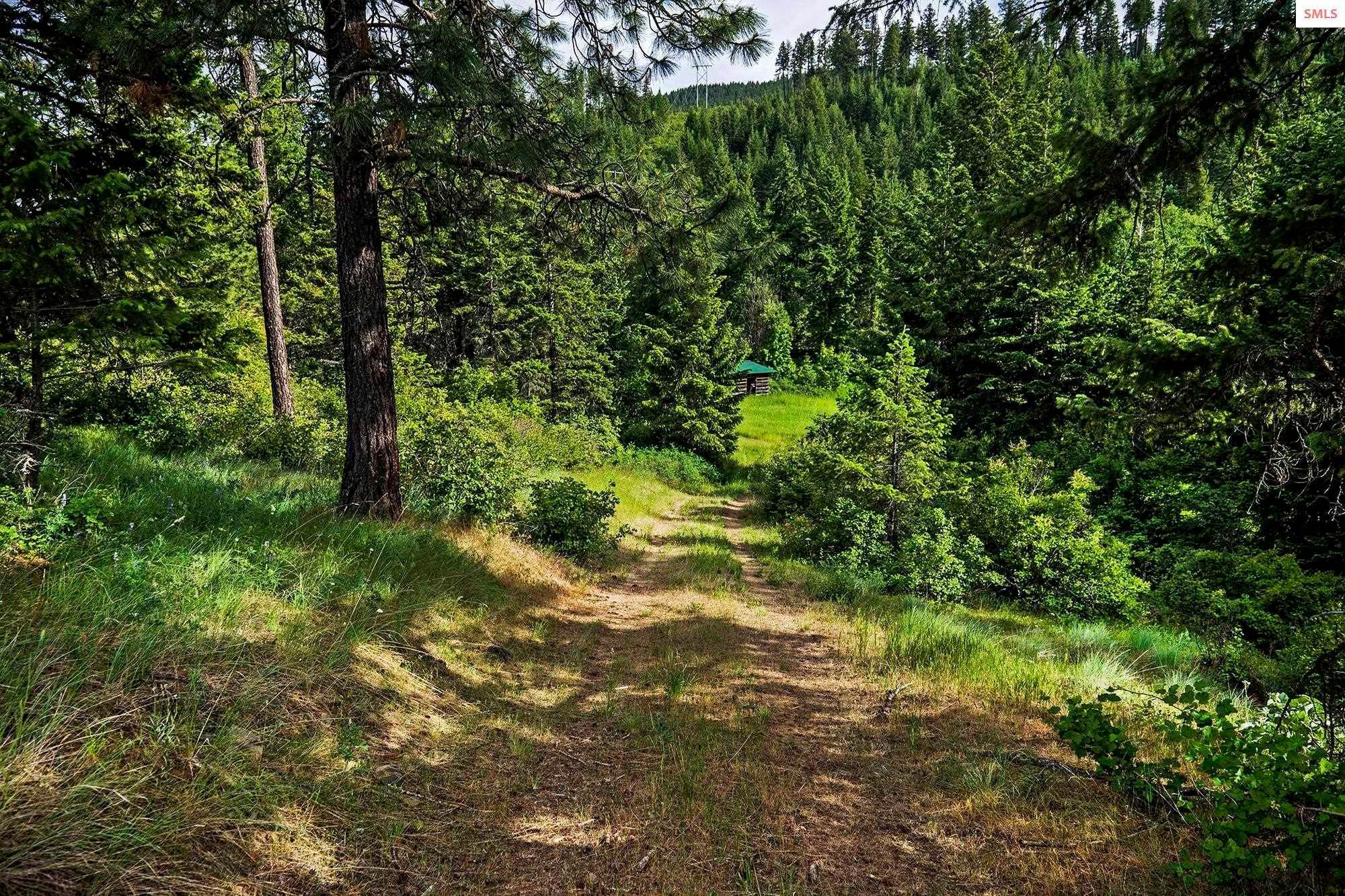 6. Land for Sale at 133 Two Tail Road Bonners Ferry, Idaho 83805 United States
