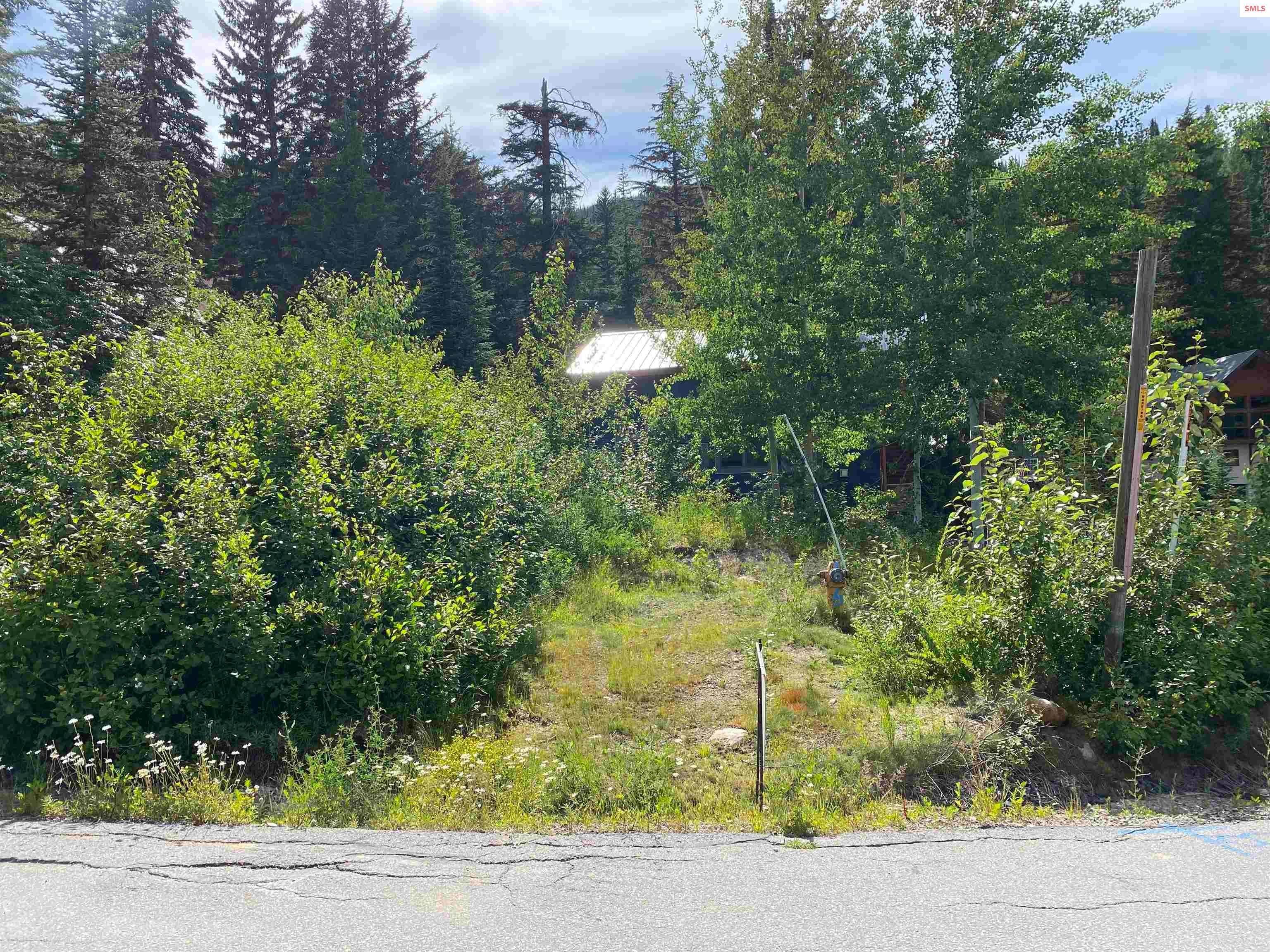 10. Land for Sale at 362 Ullr Sandpoint, Idaho 83864 United States