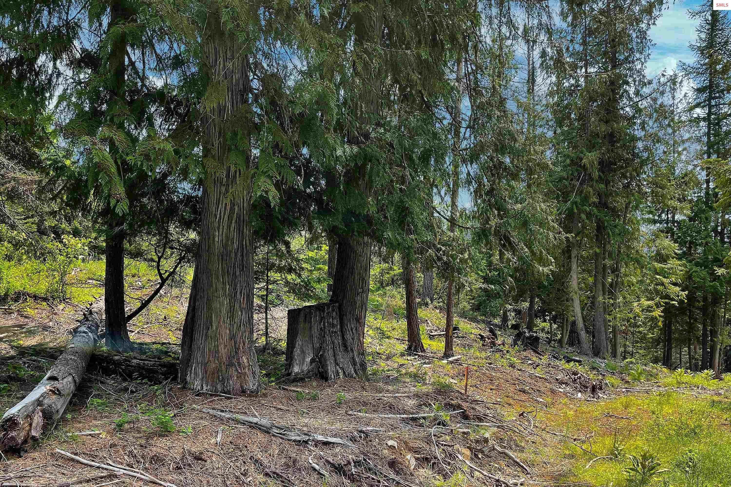 8. Land for Sale at Lot 6 White Cloud Drive Sandpoint, Idaho 83864 United States