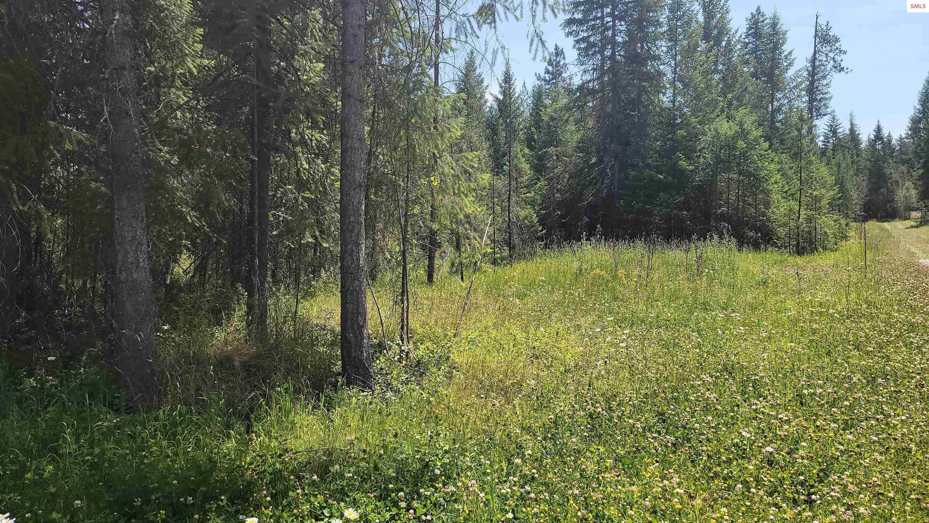 22. Land for Sale at Lot 1 Trails End Road Athol, Idaho 83801 United States
