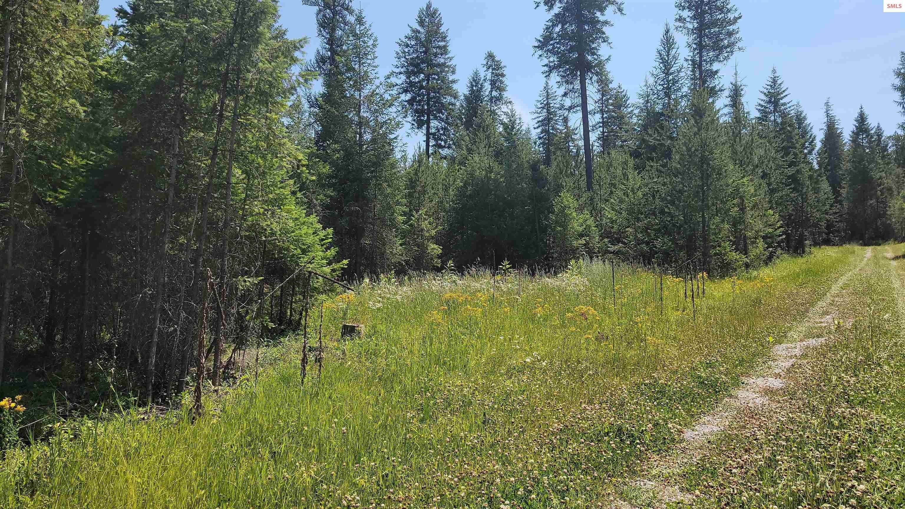 26. Land for Sale at Lot 1 Trails End Road Athol, Idaho 83801 United States