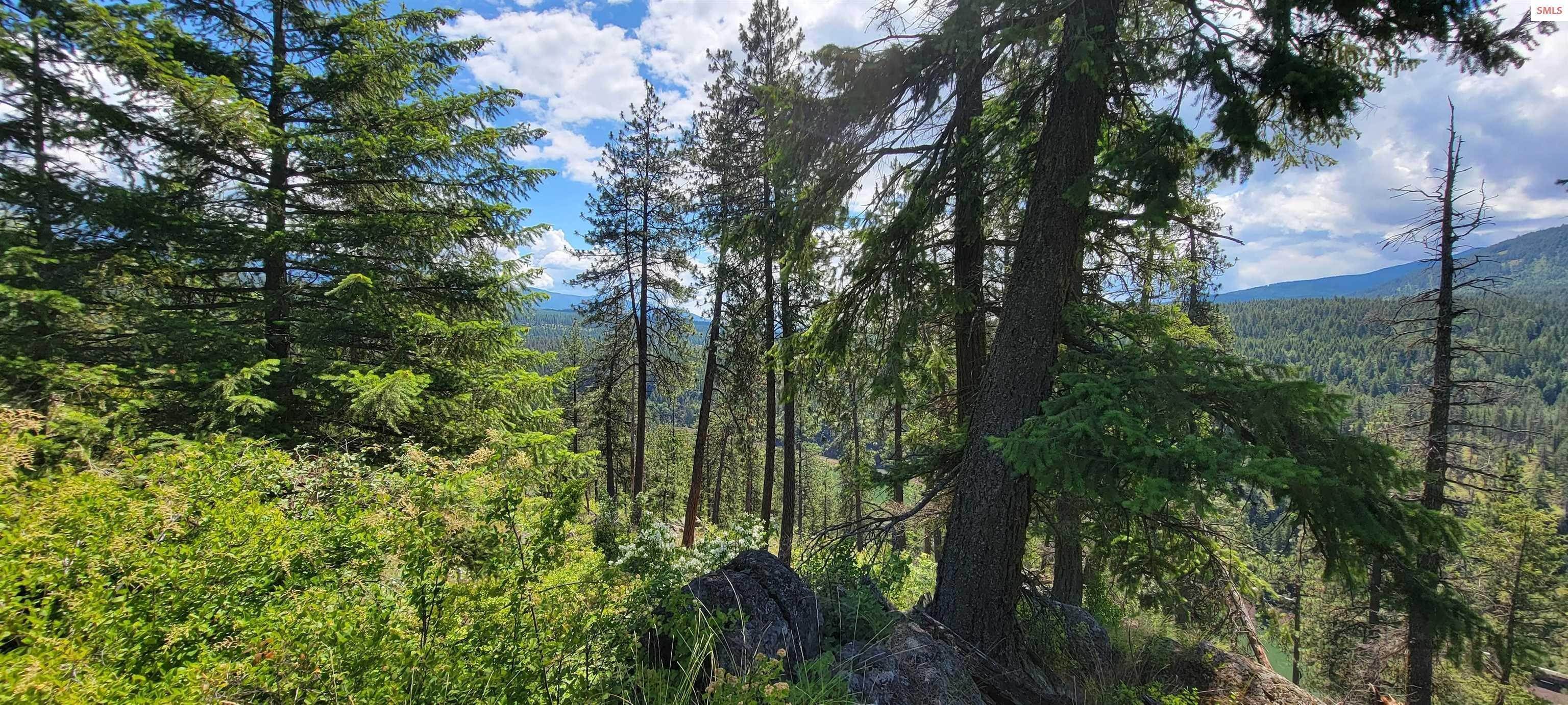 11. Land for Sale at NNA Tall Timber Road Moyie Springs, Idaho 83845 United States