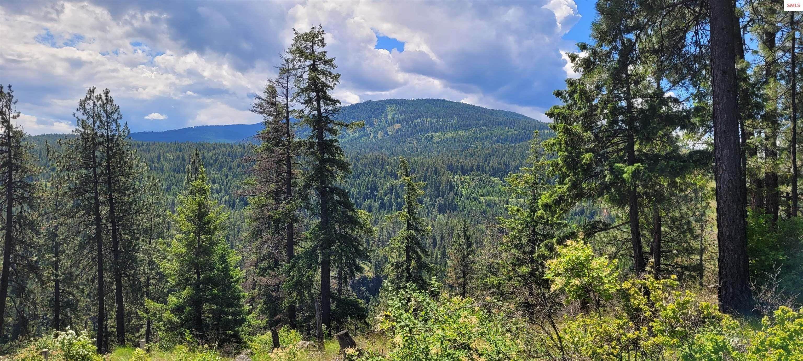 5. Land for Sale at NNA Tall Timber Road Moyie Springs, Idaho 83845 United States
