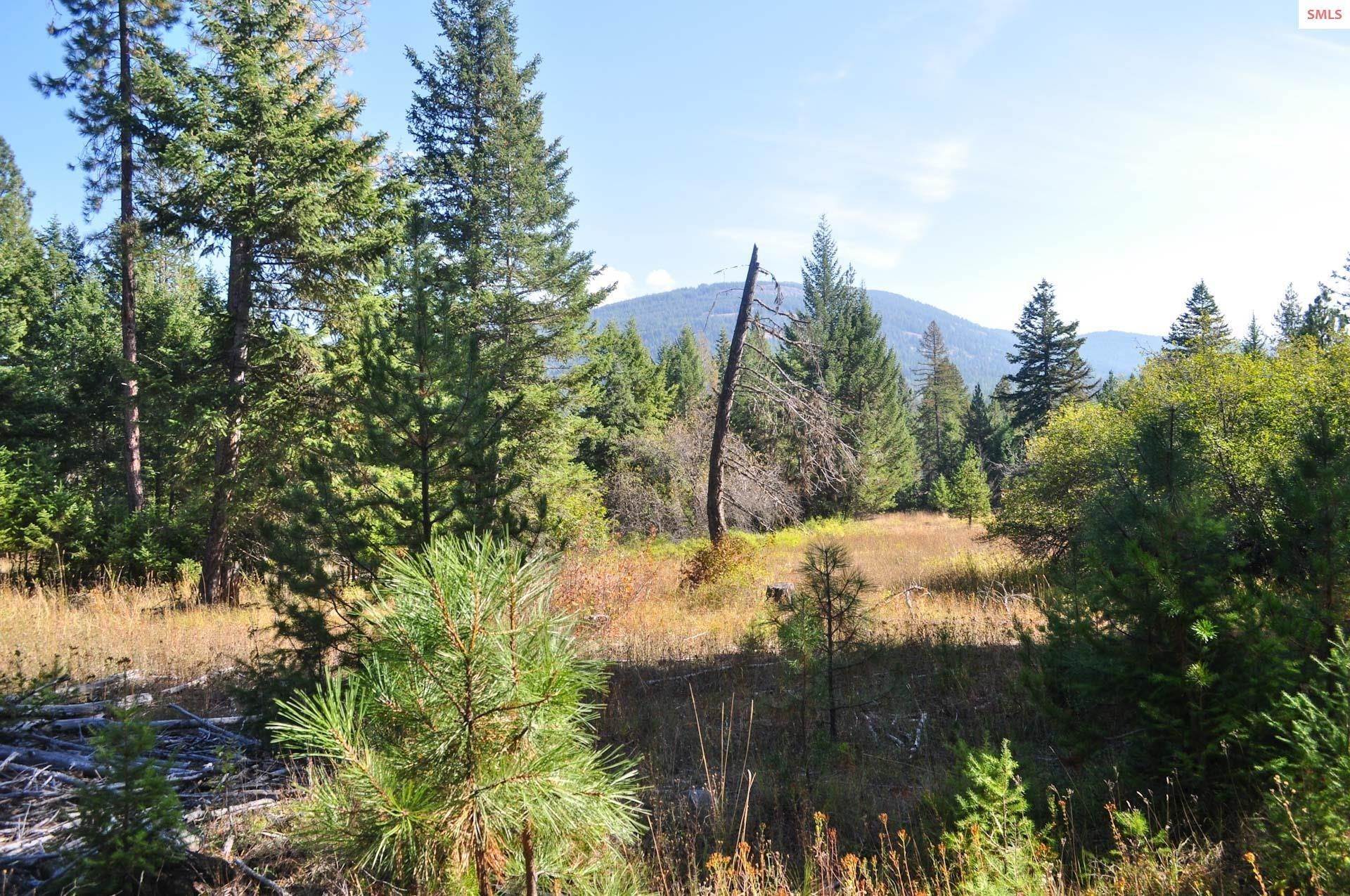 Land for Sale at 244 Culvert Lane Bonners Ferry, Idaho 83805 United States