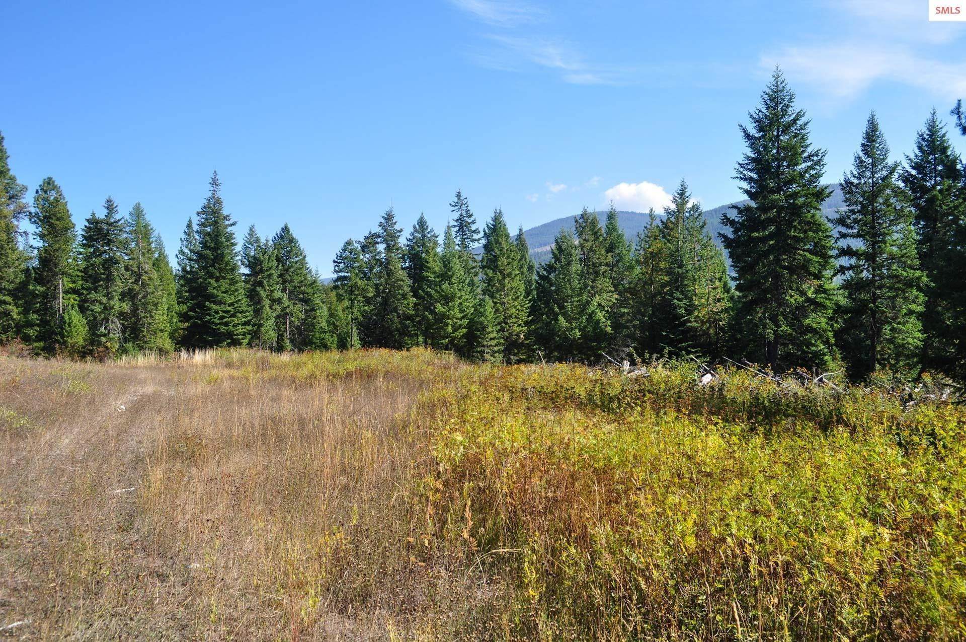 12. Land for Sale at 244 Culvert Lane Bonners Ferry, Idaho 83805 United States