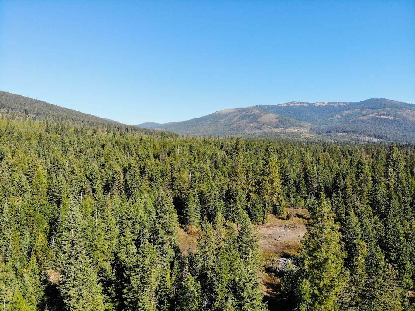 18. Land for Sale at 244 Culvert Lane Bonners Ferry, Idaho 83805 United States