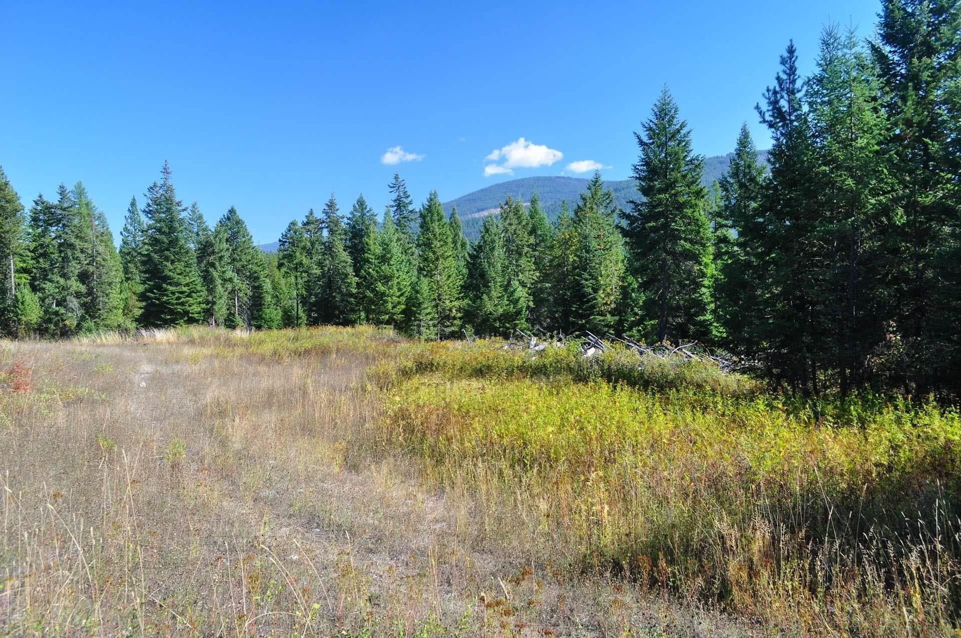 4. Land for Sale at 244 Culvert Lane Bonners Ferry, Idaho 83805 United States