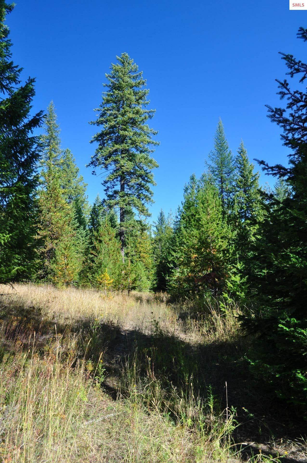 36. Land for Sale at 244 Culvert Lane Bonners Ferry, Idaho 83805 United States