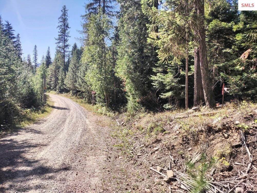 11. Land for Sale at NNA Porkchop Road Moyie Springs, Idaho 83845 United States