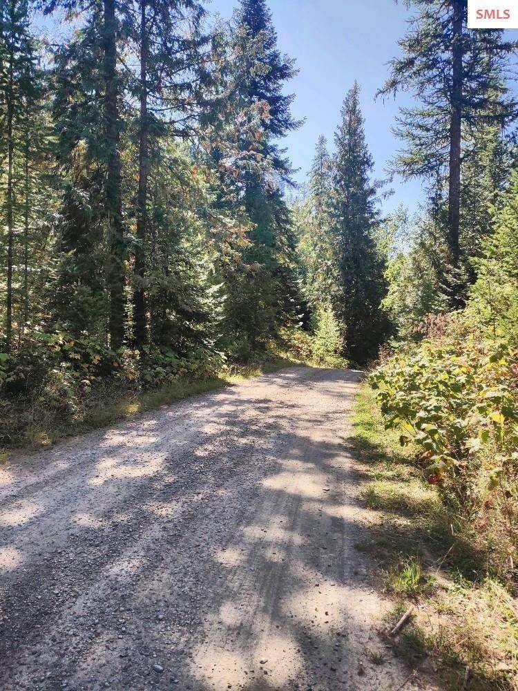 4. Land for Sale at NNA Porkchop Road Moyie Springs, Idaho 83845 United States