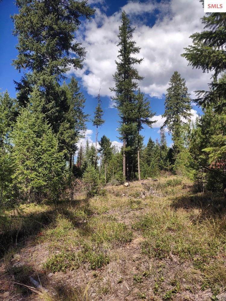 9. Land for Sale at NNA Porkchop Road Moyie Springs, Idaho 83845 United States