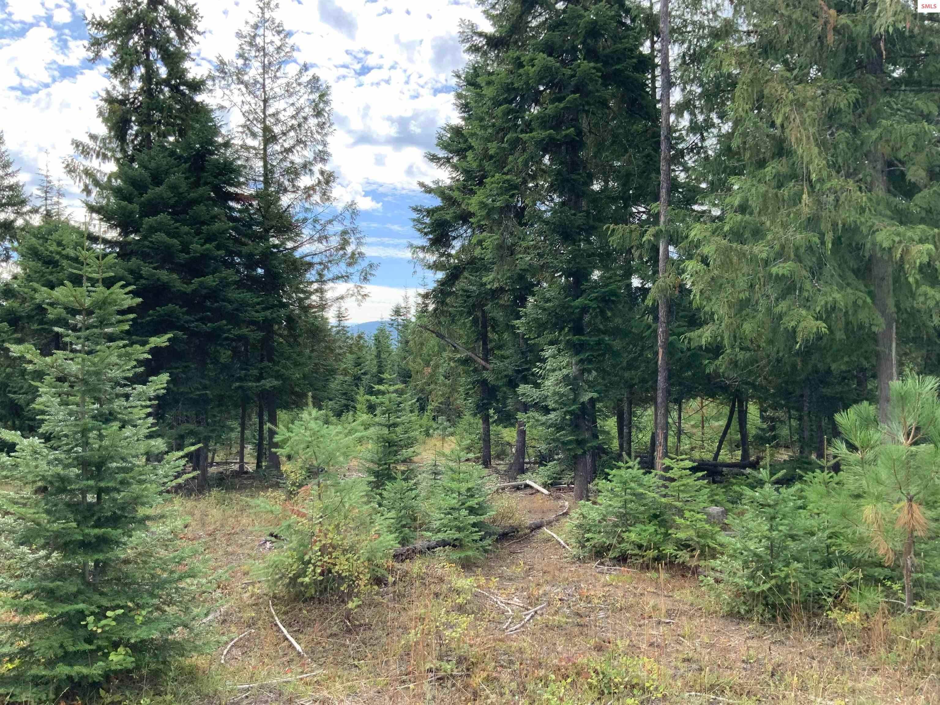 14. Land for Sale at NKA Ford Road Clark Fork, Idaho 83811 United States