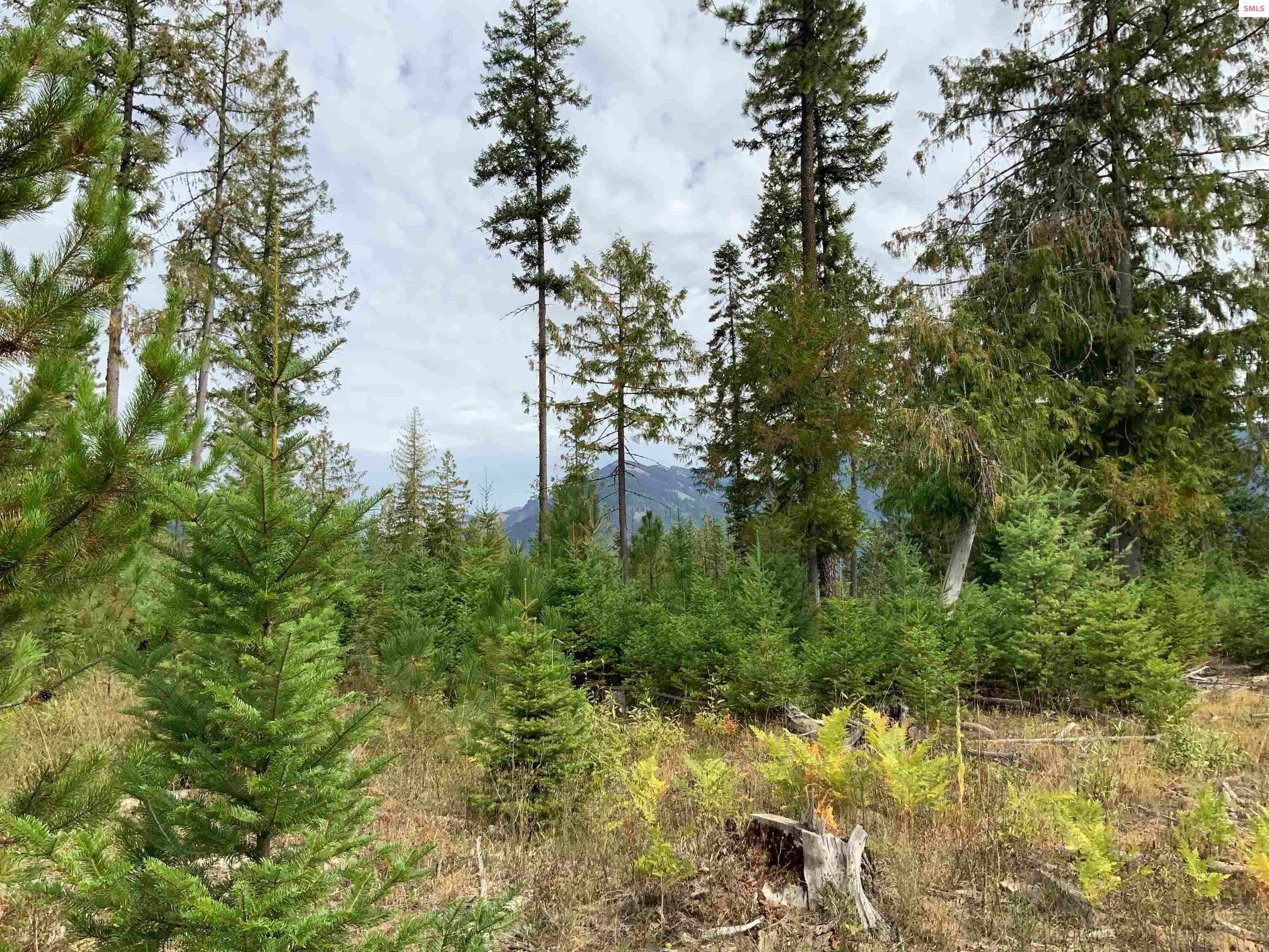 16. Land for Sale at NKA Ford Road Clark Fork, Idaho 83811 United States