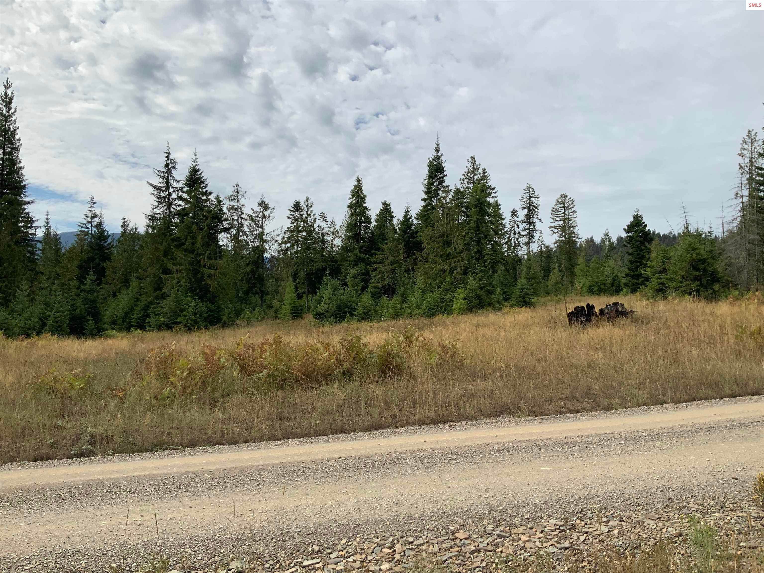 10. Land for Sale at NKA Ford Road Clark Fork, Idaho 83811 United States